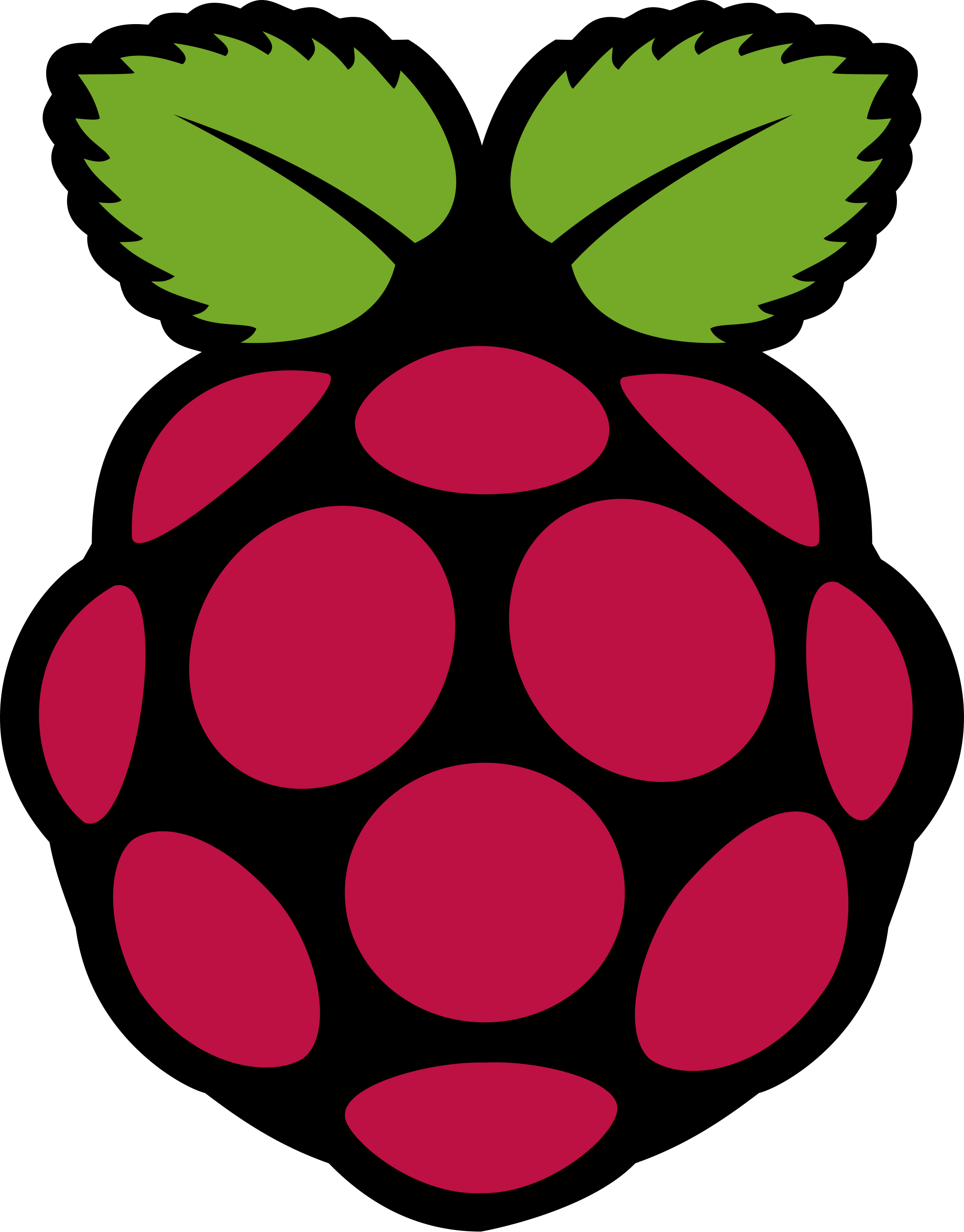 The Basics: How to set up a Raspberry Pi (Linux)