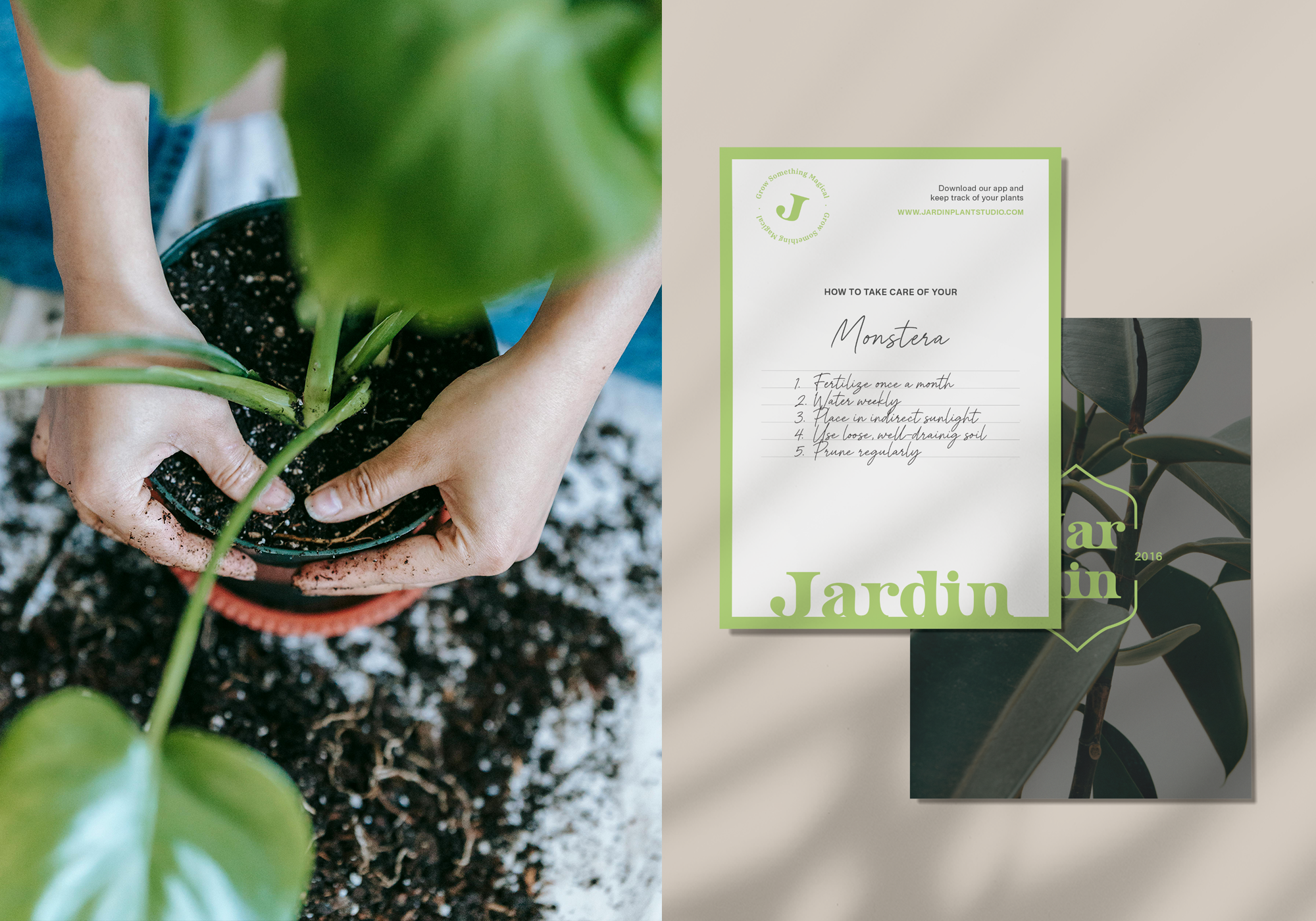 Plant care instruction card to the right and hands pressing down soil in a planter to the left