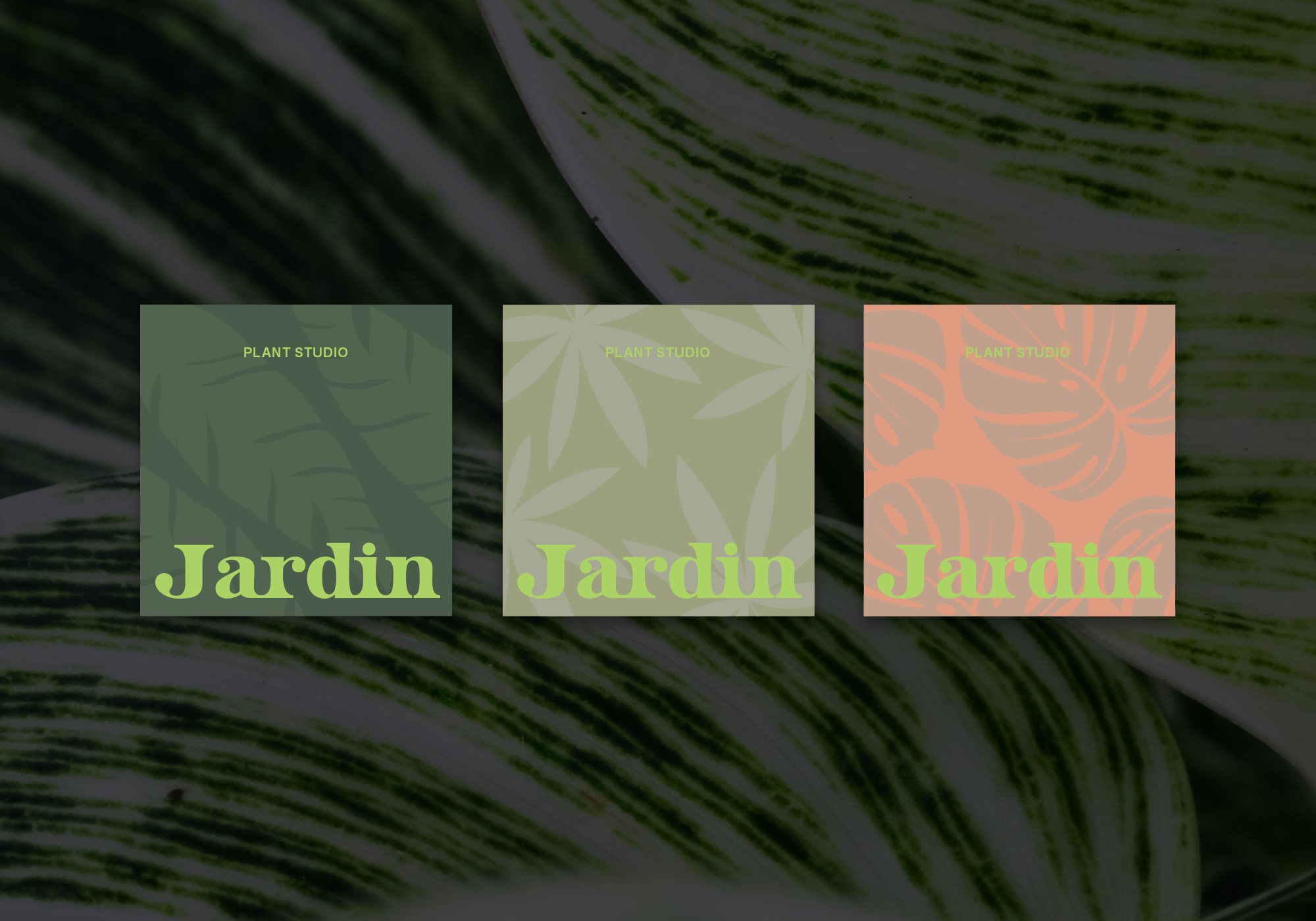 Cards with different plant leave patterns with the words Jardin Plant Studiio