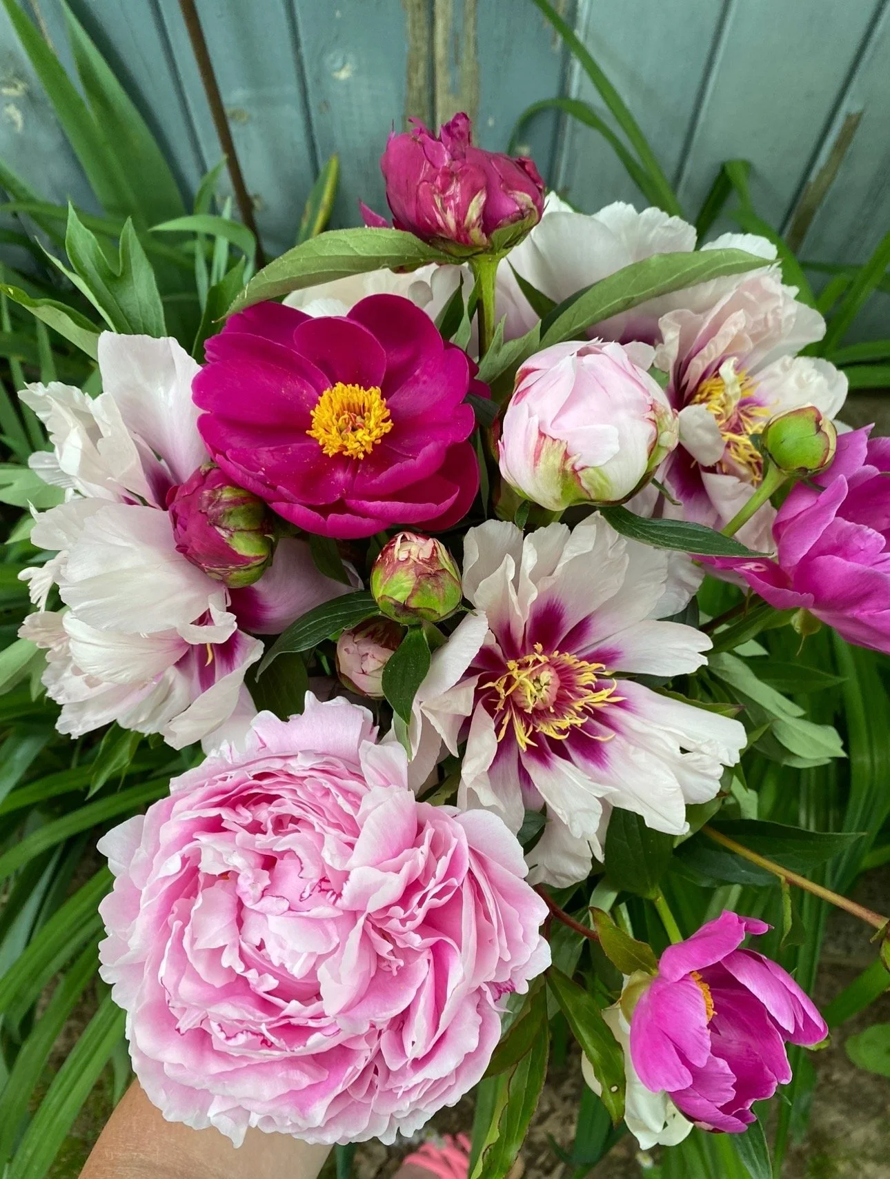 Spring Floral Subscription