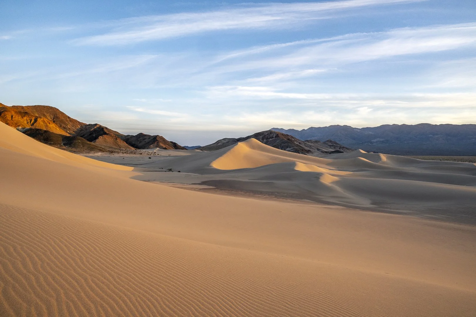 Late afternoon at Ibex Dunes - the golden light of the late afternoon gives the dunes an otherworldly appearance.