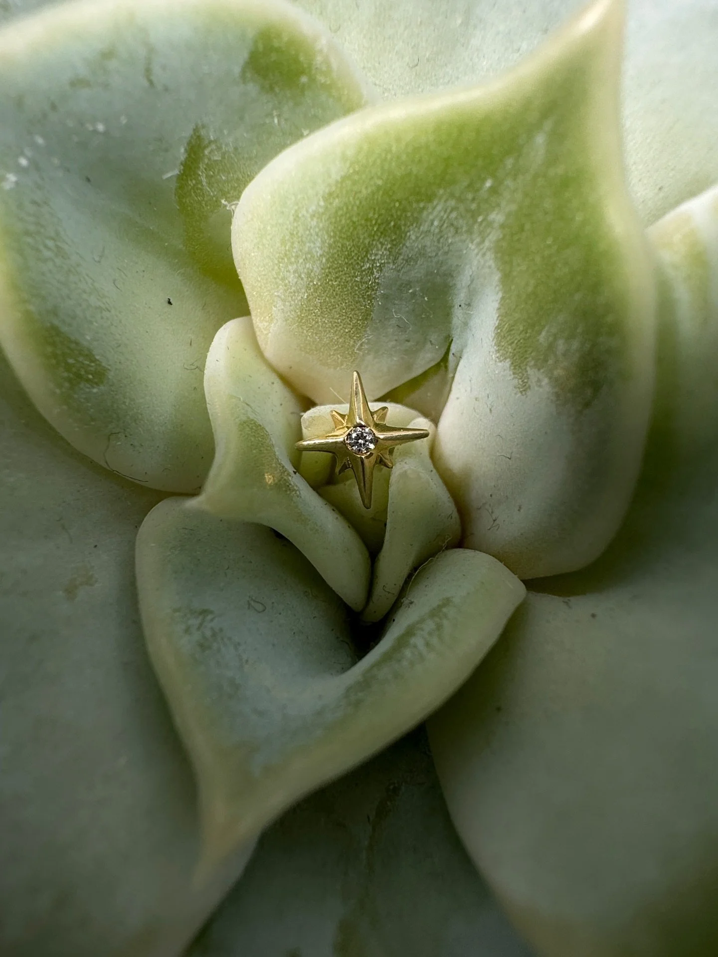 What&rsquo;s your favourite piece ?? Comment below. 

Some goodies that are available in studio or online via my website. 

#jewllery #available #junipurrjewelry #neometaljewelry #anatometal