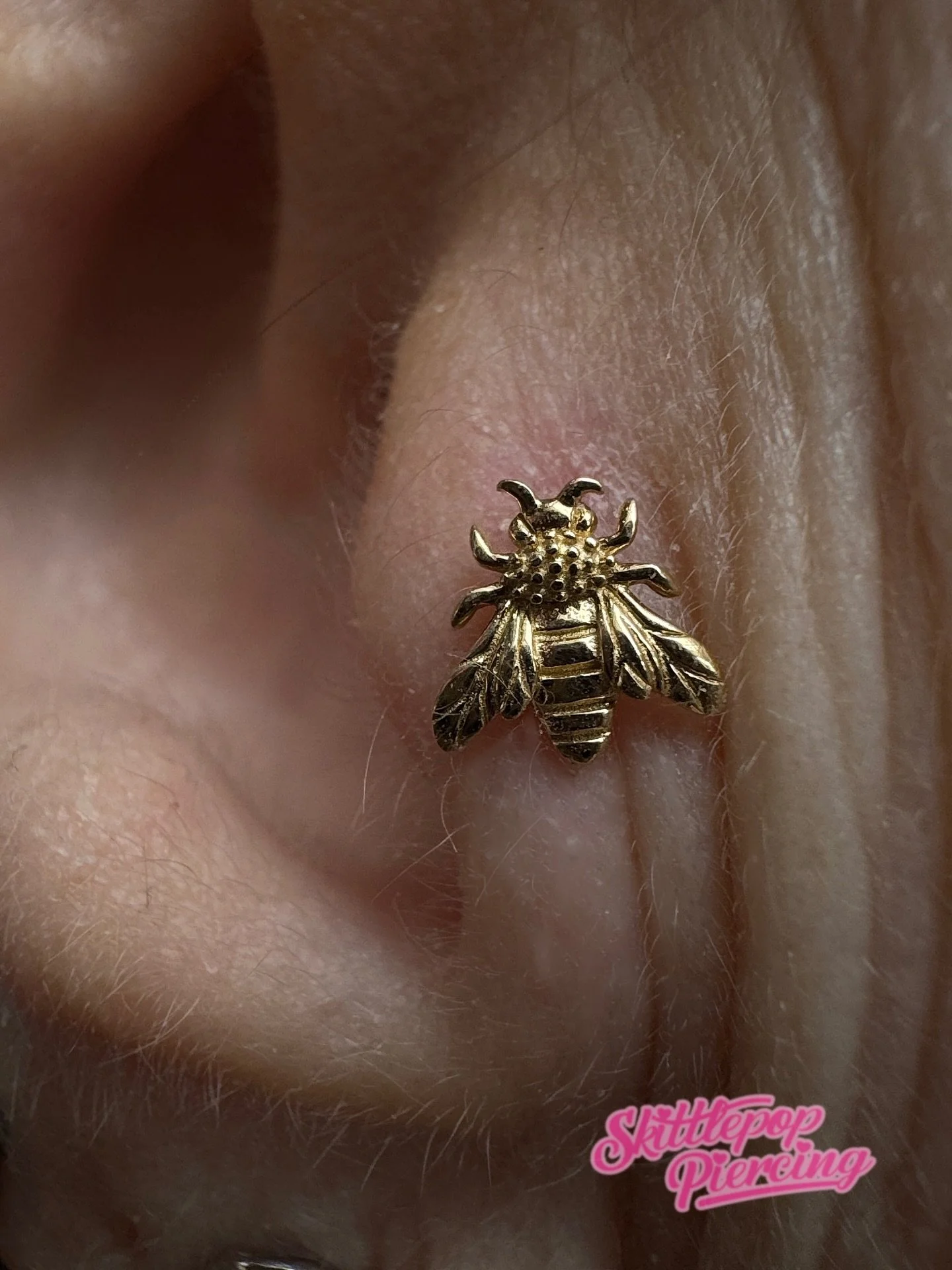 The only kind of wasp I like. 

The golden kind. 

Jewellery from @junipurrjewelry 
Available on my website and in studio. 

#wasp #gold #junipurrjewelry #elthampiercer #tragus
