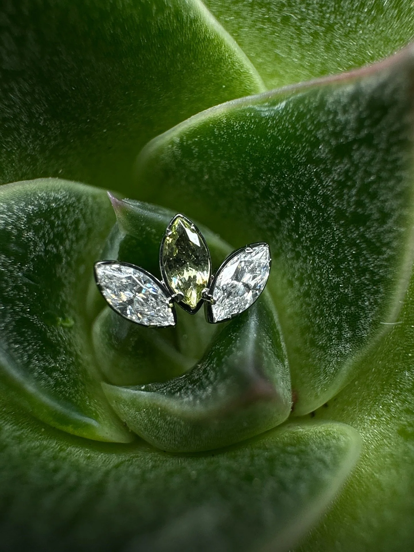 Triple marquise&rsquo;s 

All currently in stock in the studio or via my website. Check the link in the bio. 

I will be posting a spooky season offer that will be running for the whole of October. 

#triplemarquise #jewelry #implantgradetitanium #an