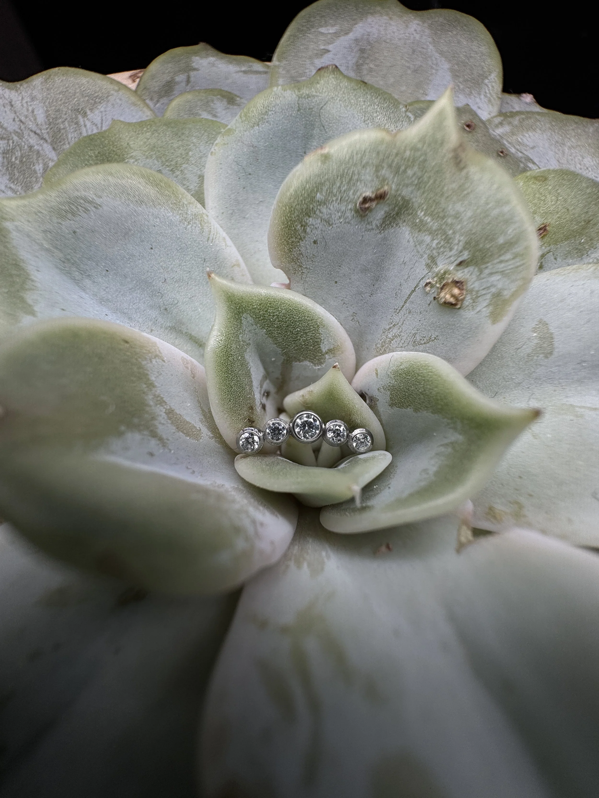 Five Gem Mini Cluster