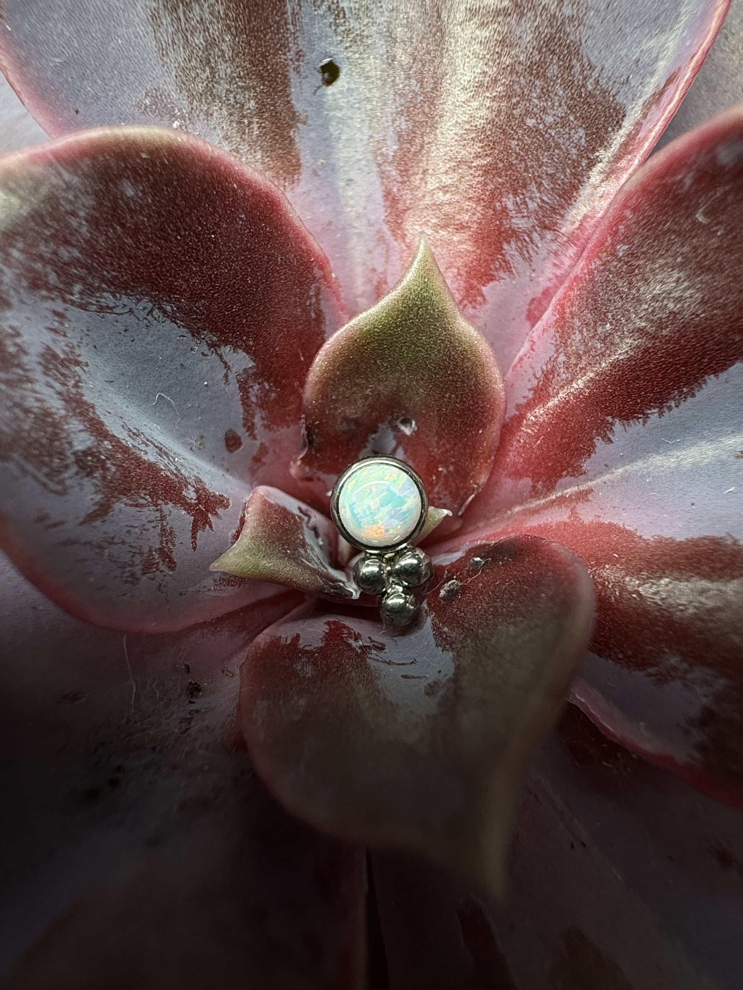 Opal Bezel Tribead 3mm
