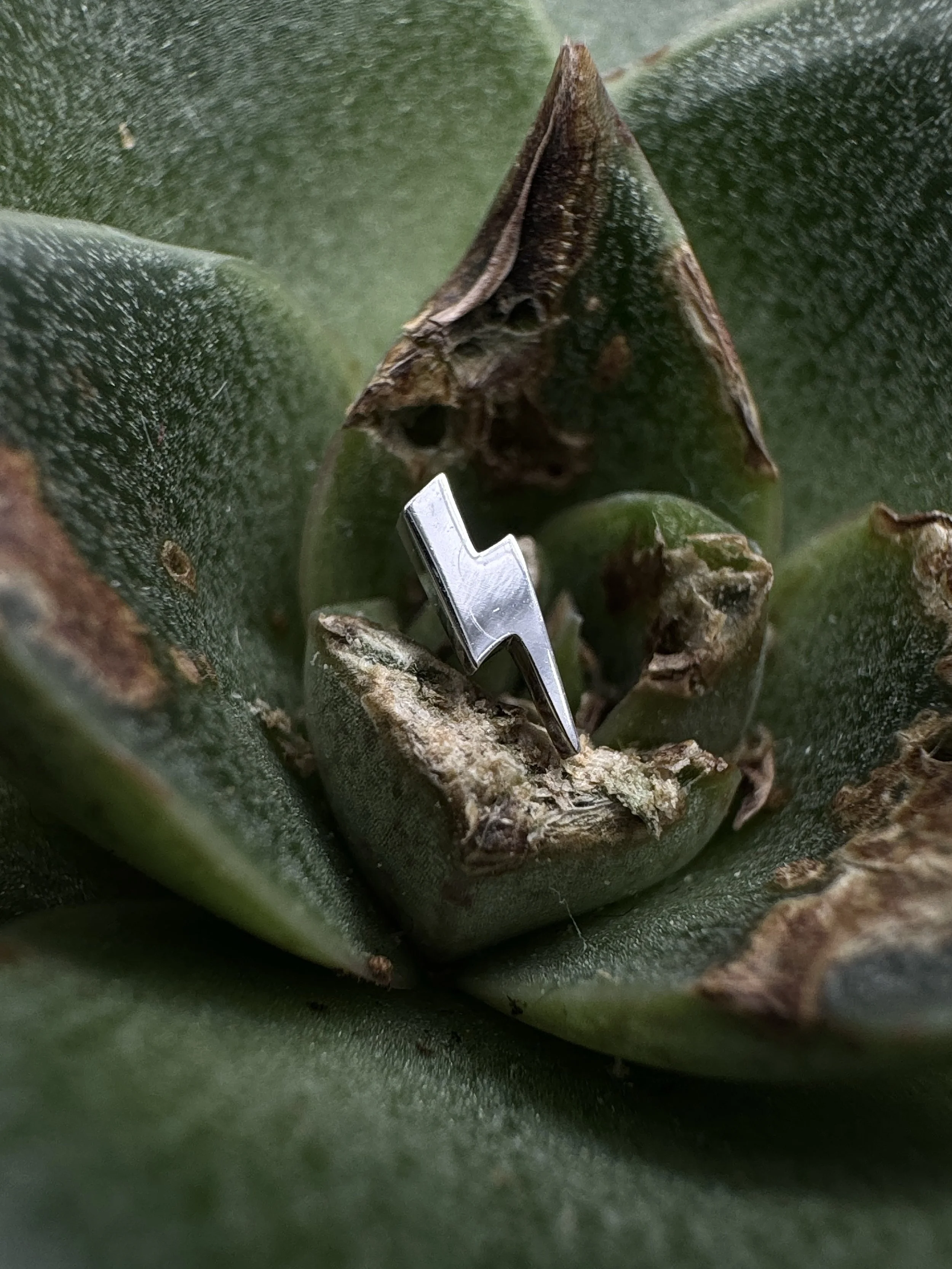 Solid 14ct gold. Mini lightning bolt suitable for all ear. Lip and nose piercings.