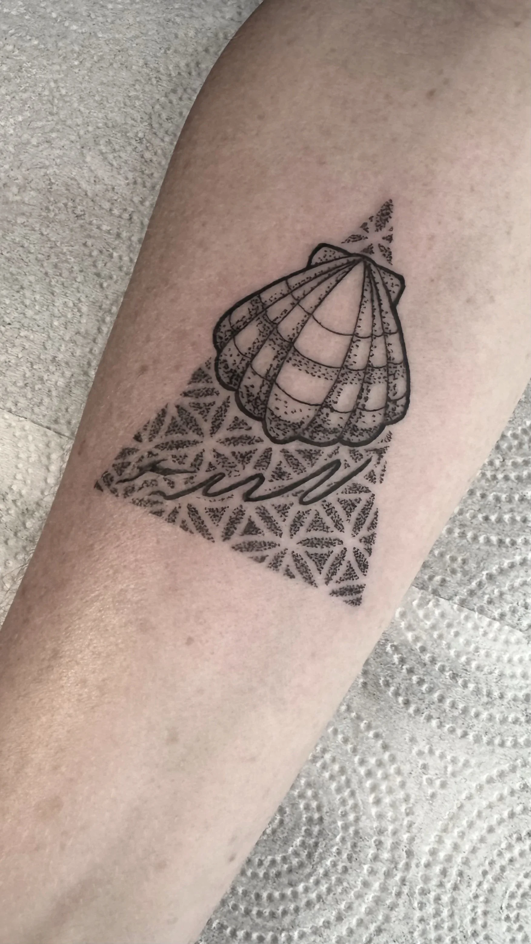 delicate shell tattoo dotwork geometry pattern los angeles 