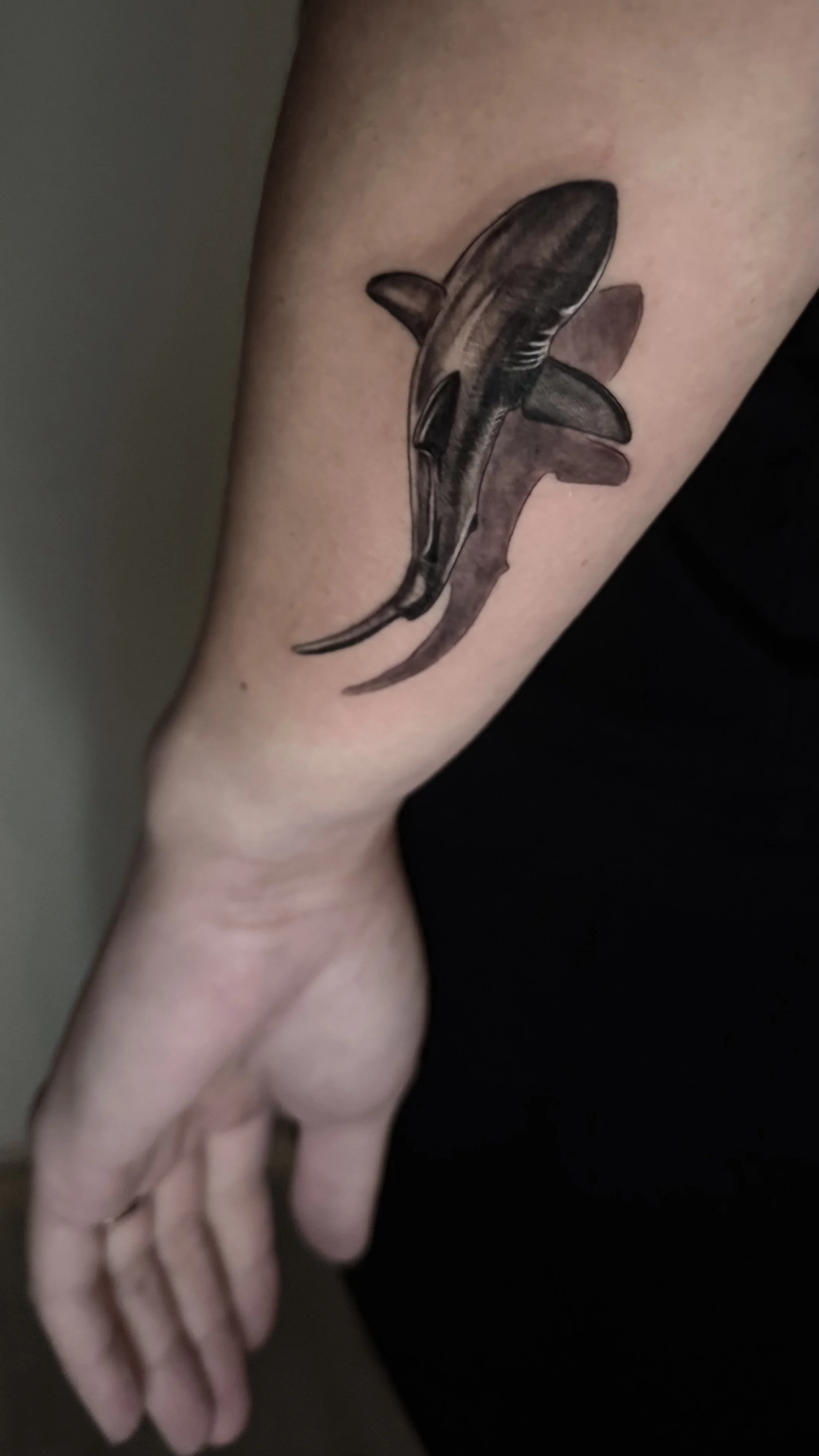 realistic shark tattoo female artist Hermosa beach