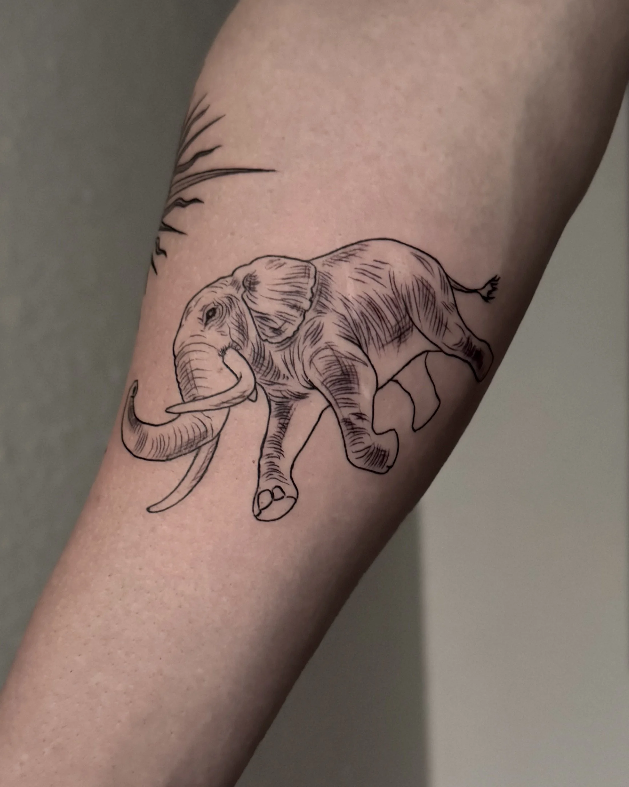 minimalist linework elephant tattoo Los Anges