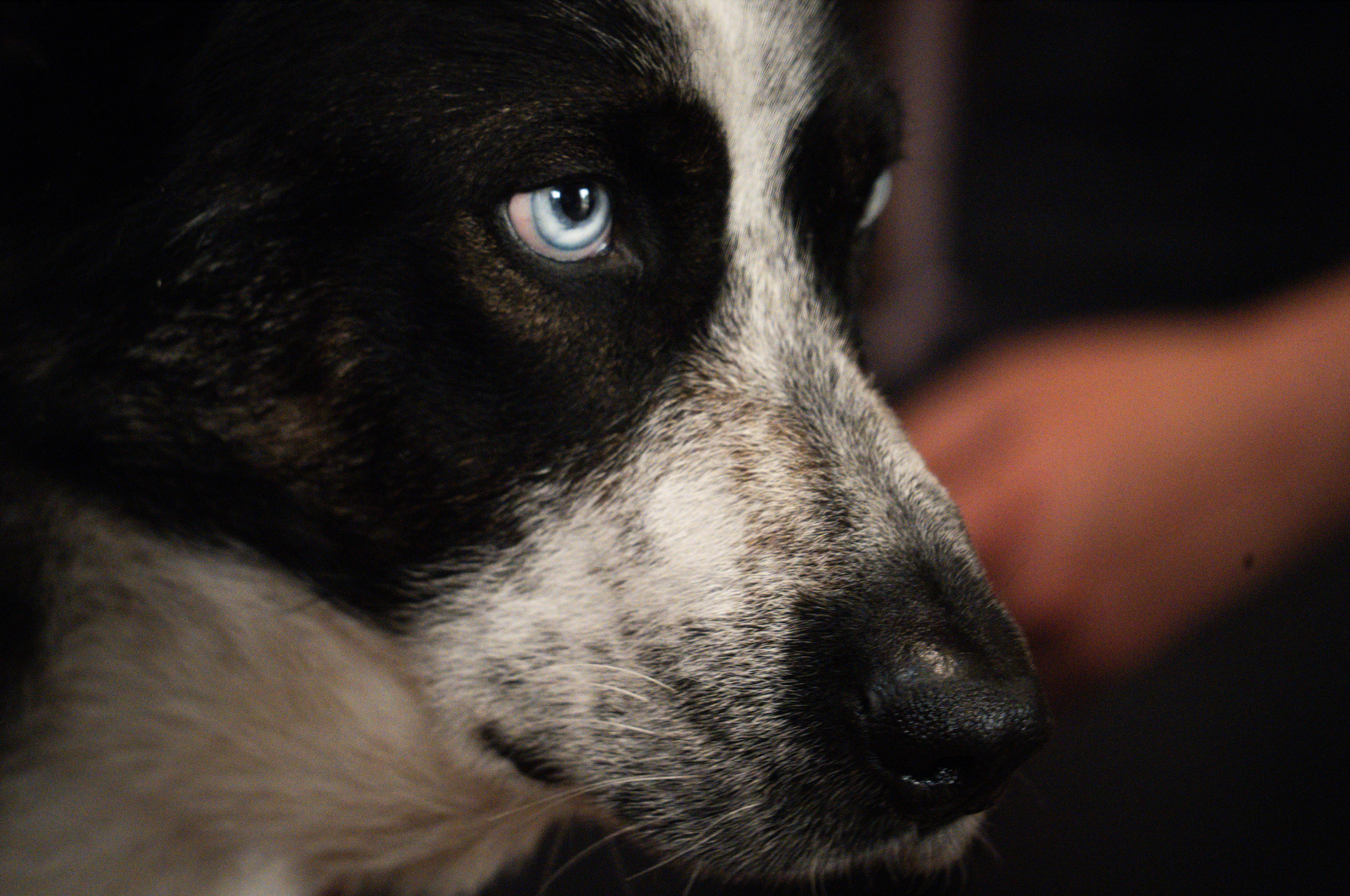 Screenshot 2025-08-31 at 2.27.27 PM.png