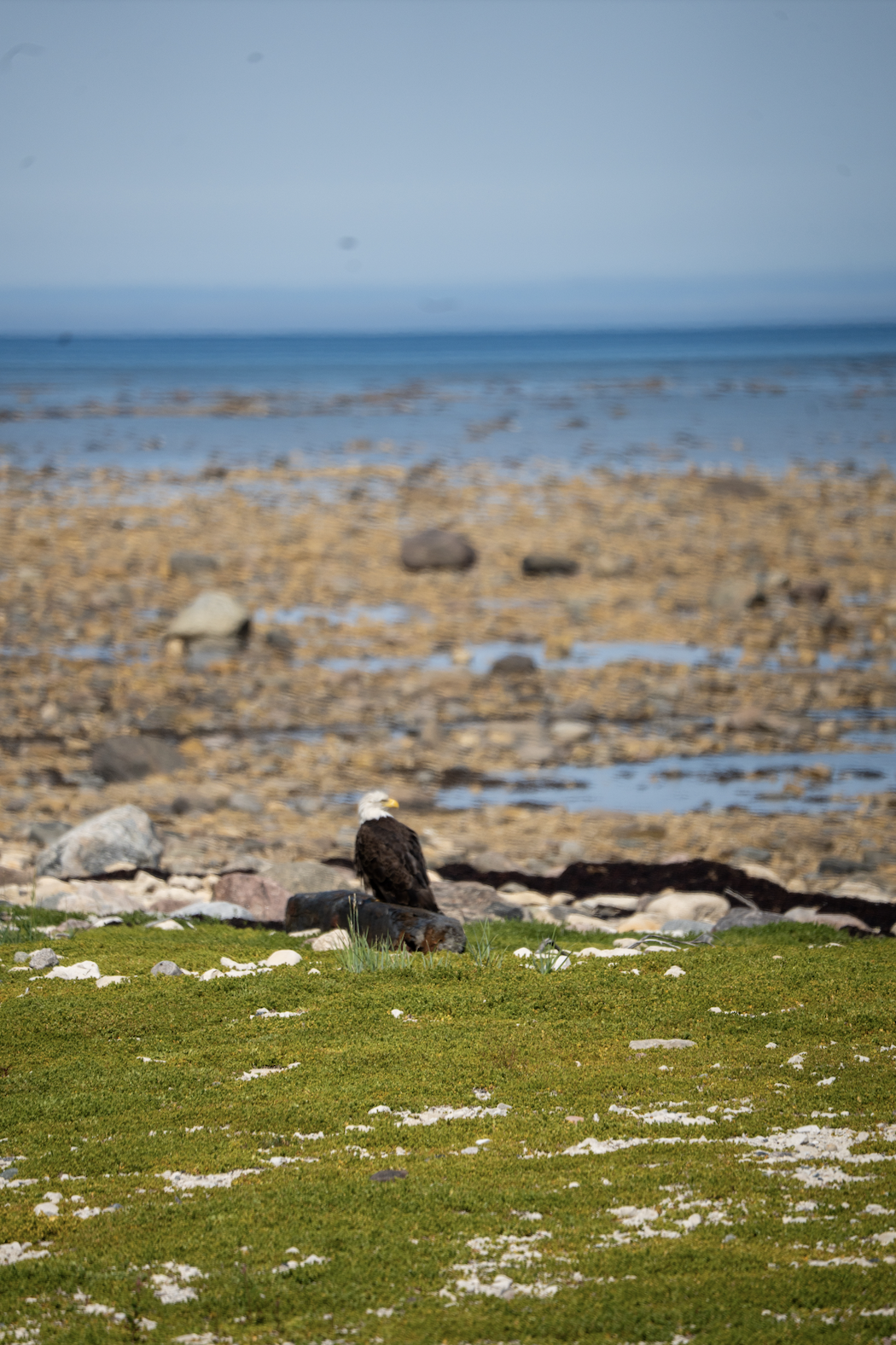 Screenshot 2025-08-31 at 2.37.55 PM.png