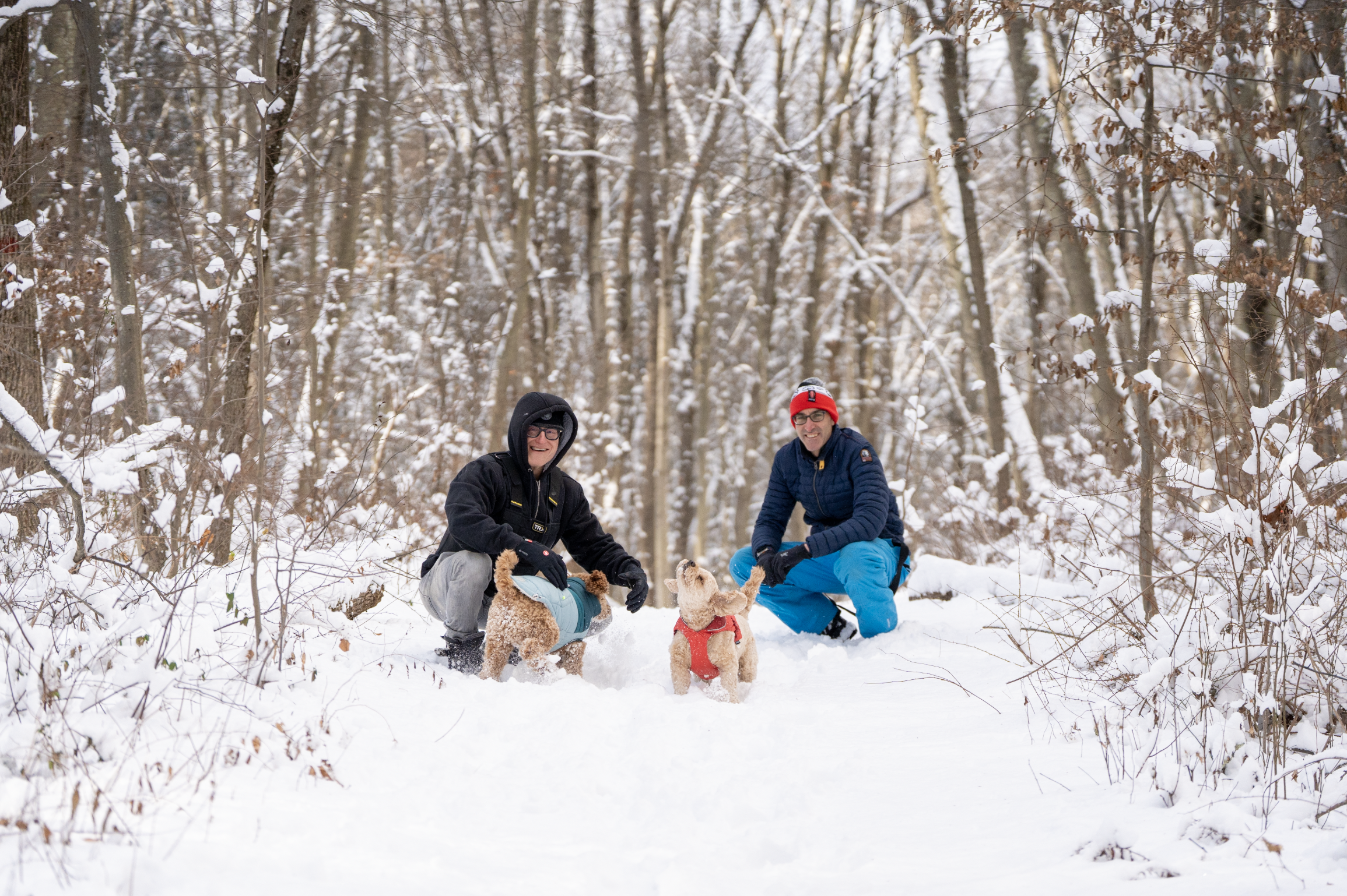 Screenshot 2026-02-10 at 9.42.54 AM.png