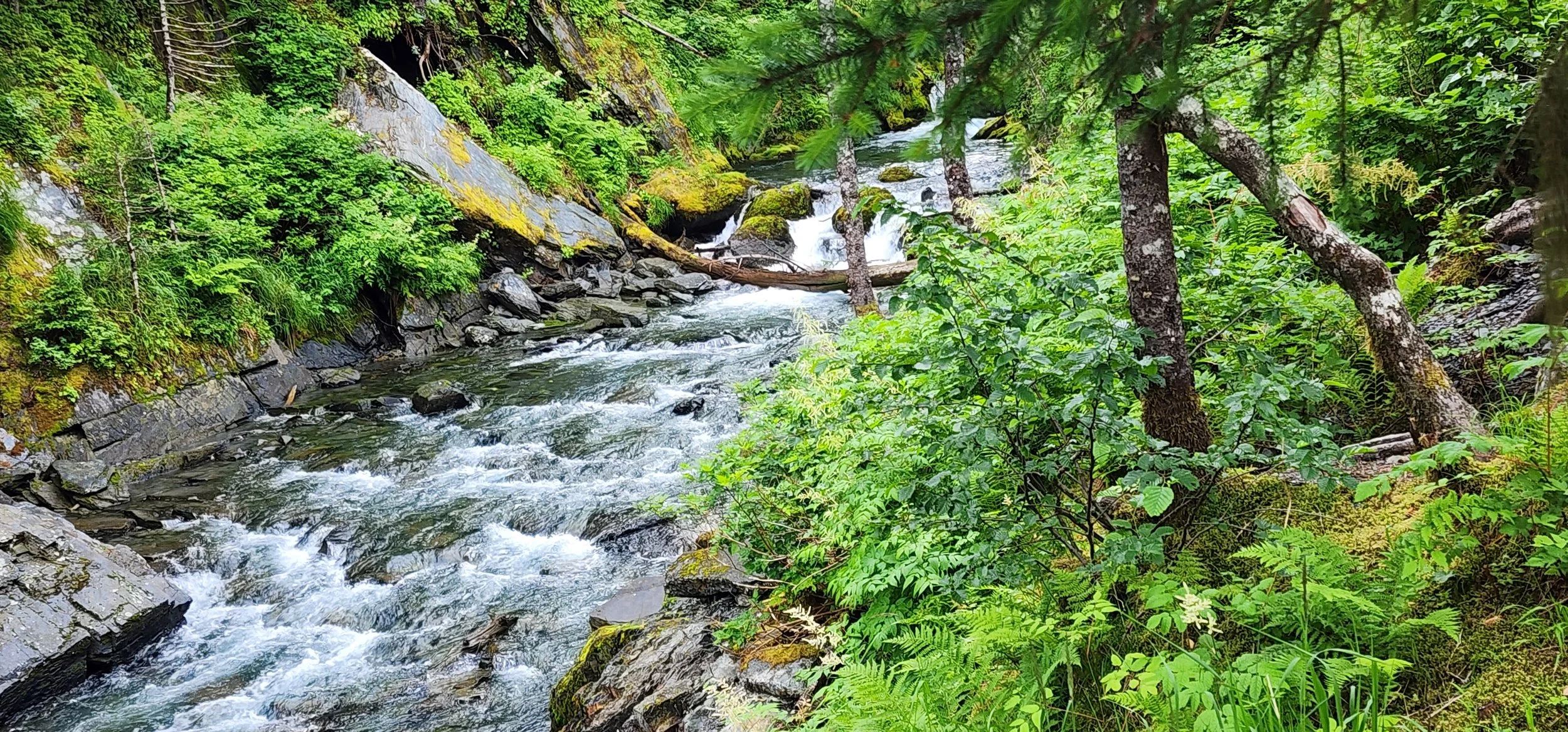 202507.14.Mobile.Alaska.Whittier 0065.jpg