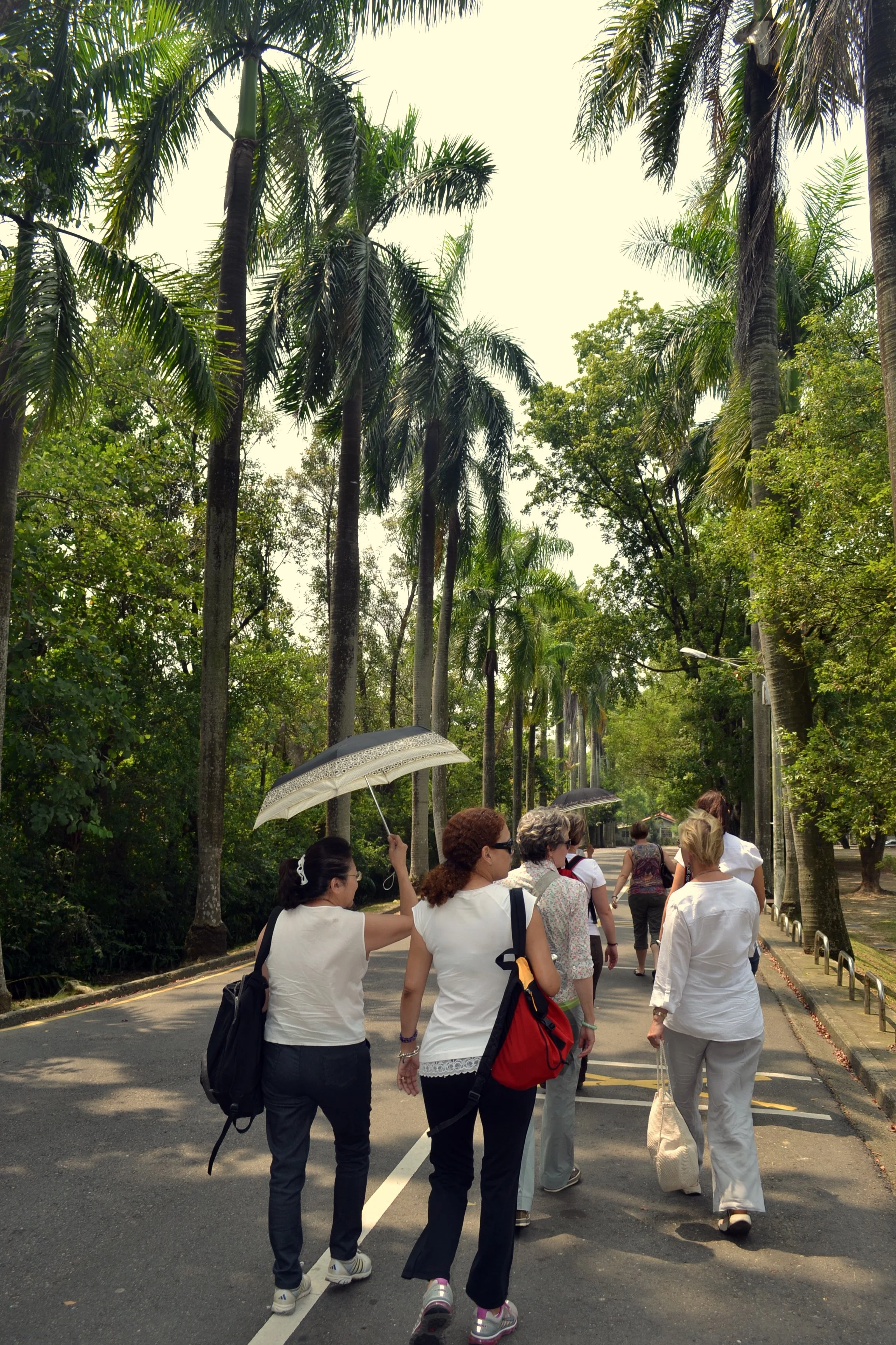 Women walk down a street lined with tall palm trees during a cultural experience in Taiwan with Tricia Pomering.