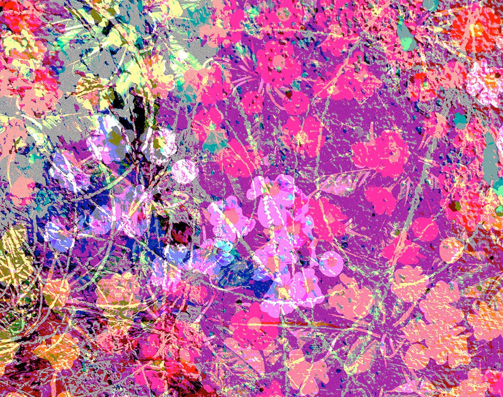 In the Garden, 2013,
Digital Print,
26” x 32”