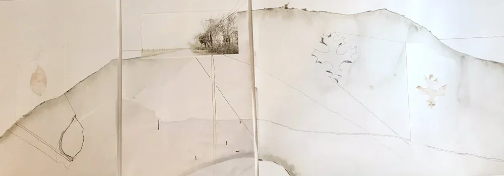 Leaves In Time, 2019, archival photographic prints, watercolor, graphite and ink, triptych 18 x 48 in