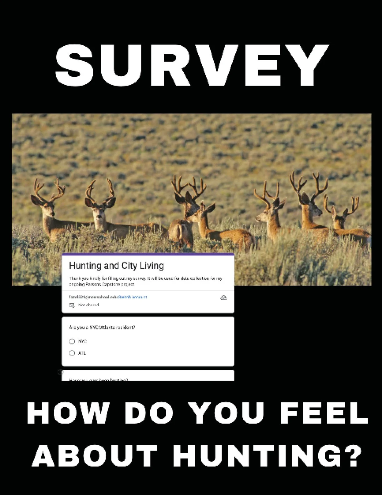 Compendium JPG Pages17.jpg