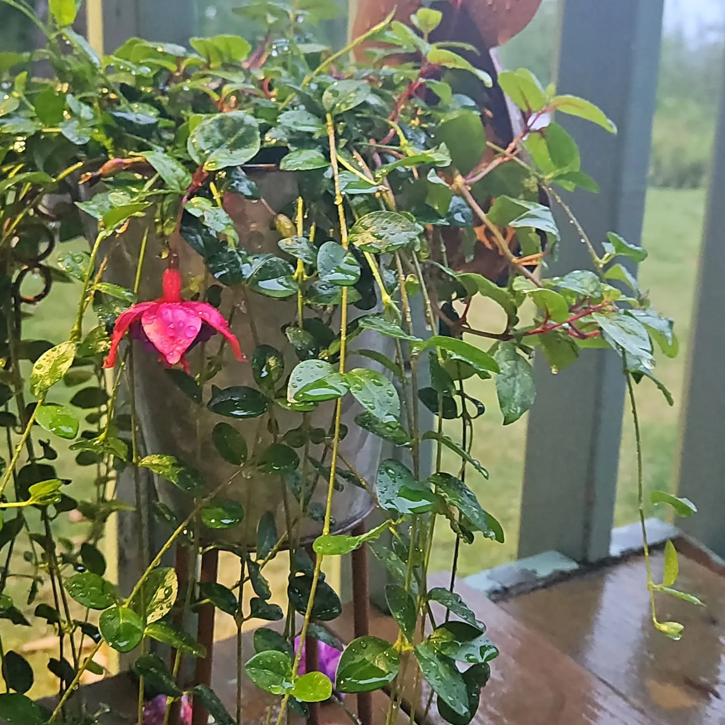 #rainedout
#marketcancelledduetobadweather
#timefornewproducts
#seeyousoon
#sncbourbonworks