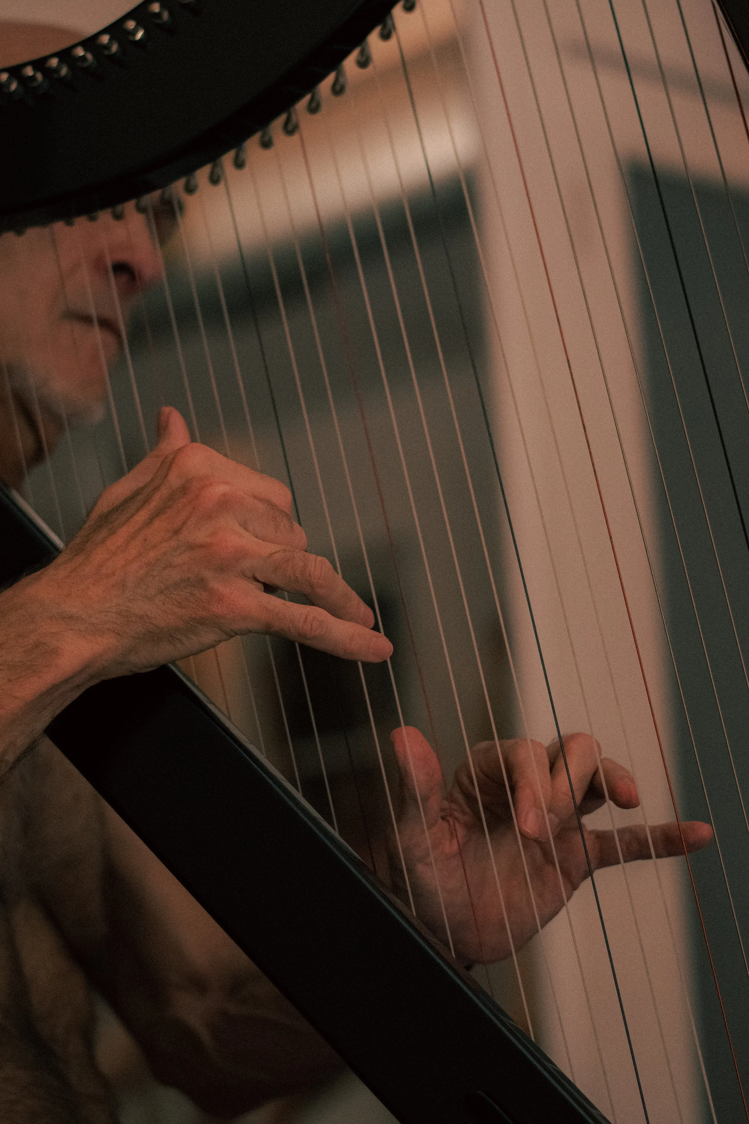 Boris plays harp throughout class