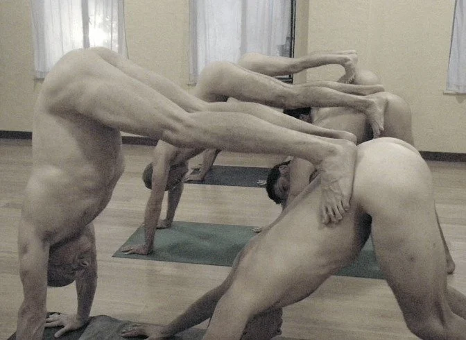 Partner Down Dog and Pike.jpg