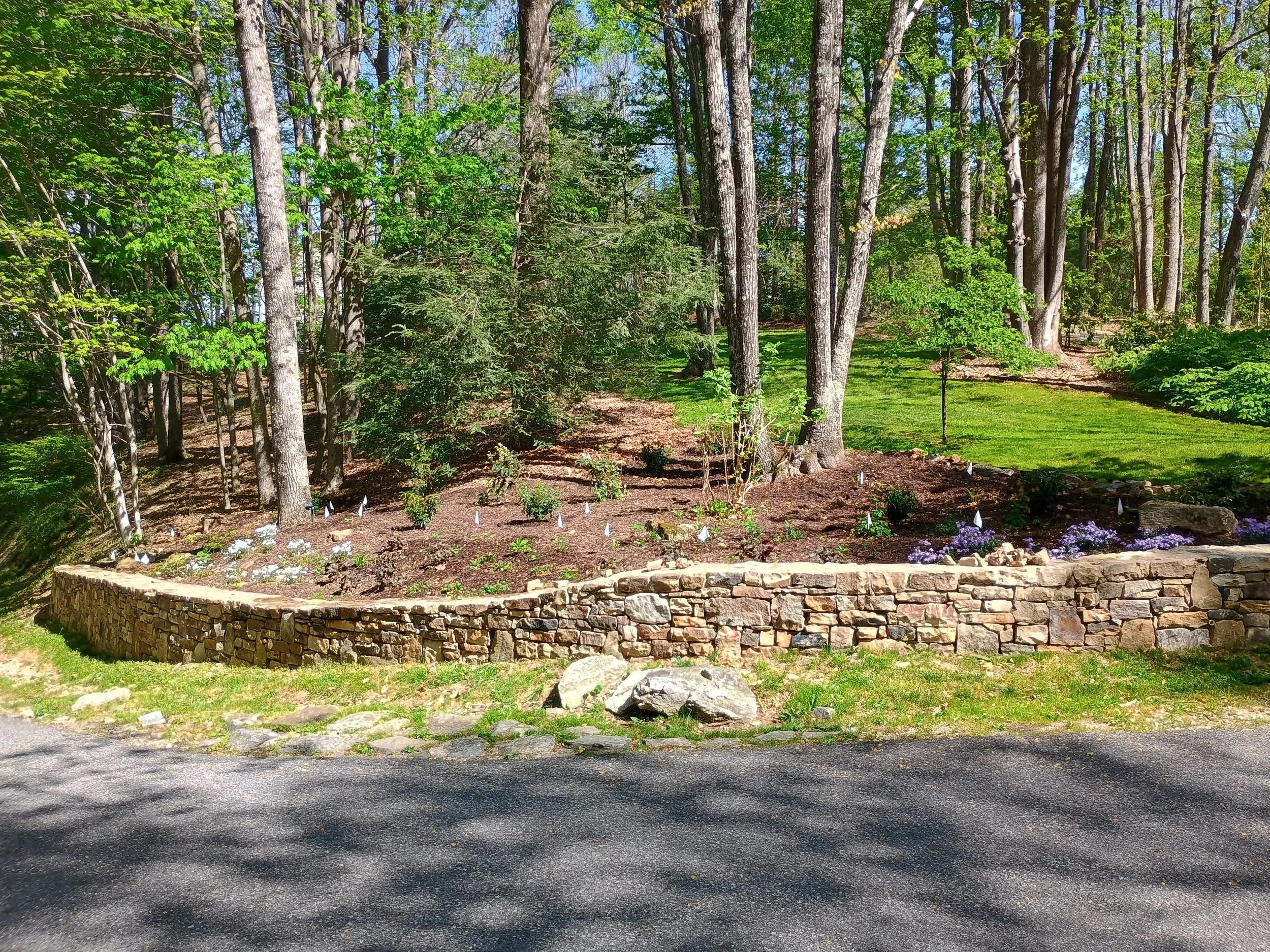 IMG_20260417_110613352_HDR.jpg