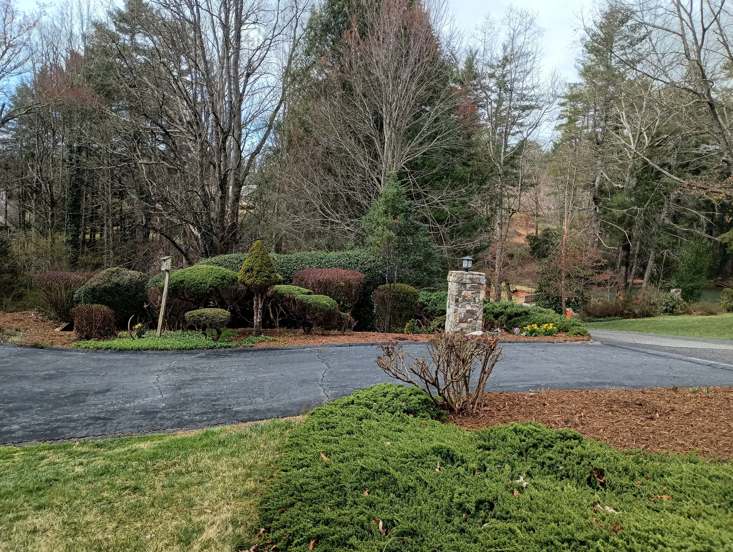 IMG_20250324_113127553_HDR.jpg