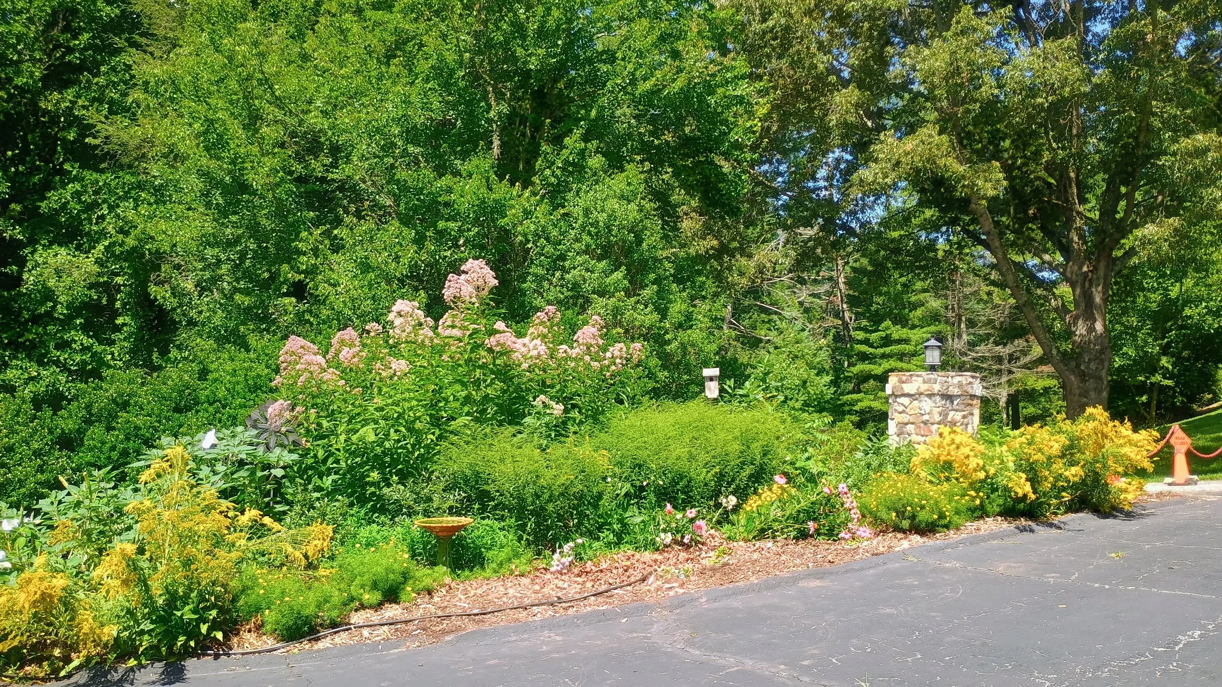 IMG_20260715_114726838_HDR_AE.jpg