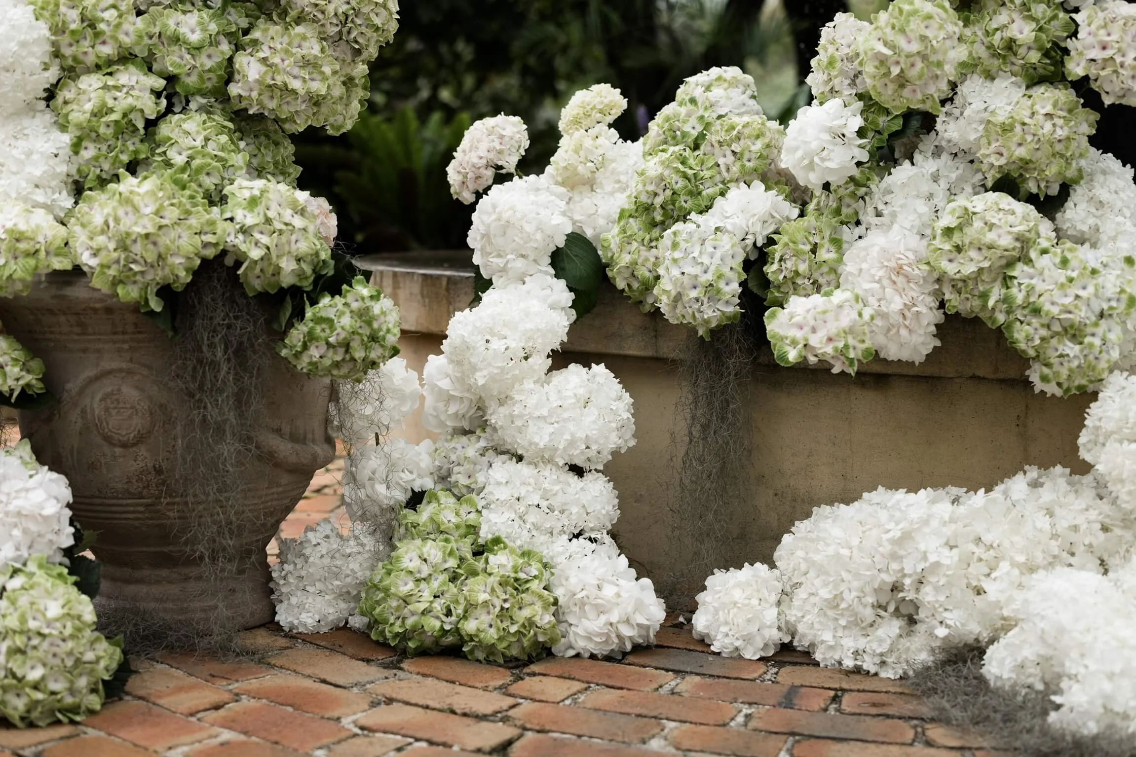 DanielleandLuke(signature)-55 3.JPG