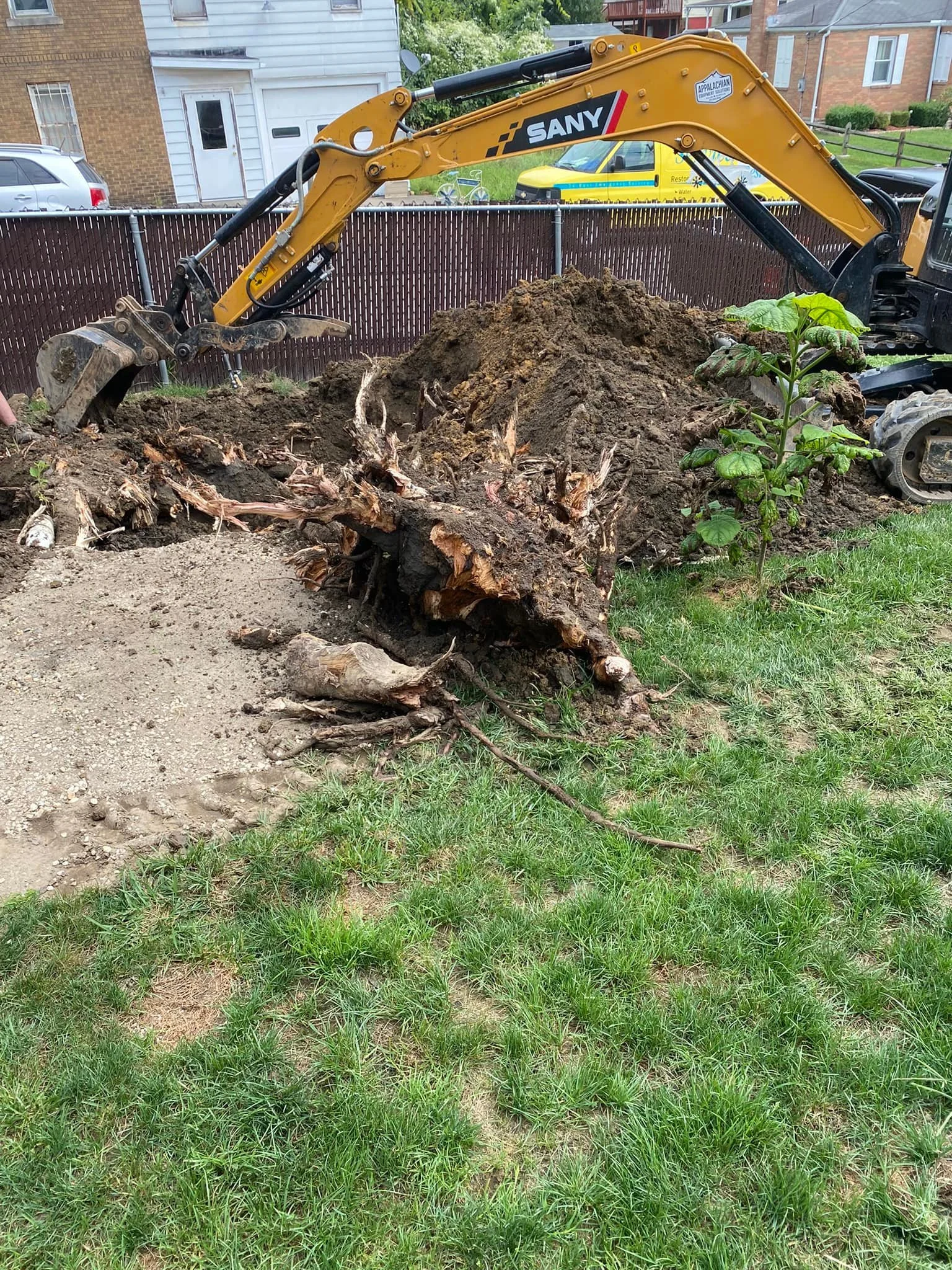 tree stump removal.jpg