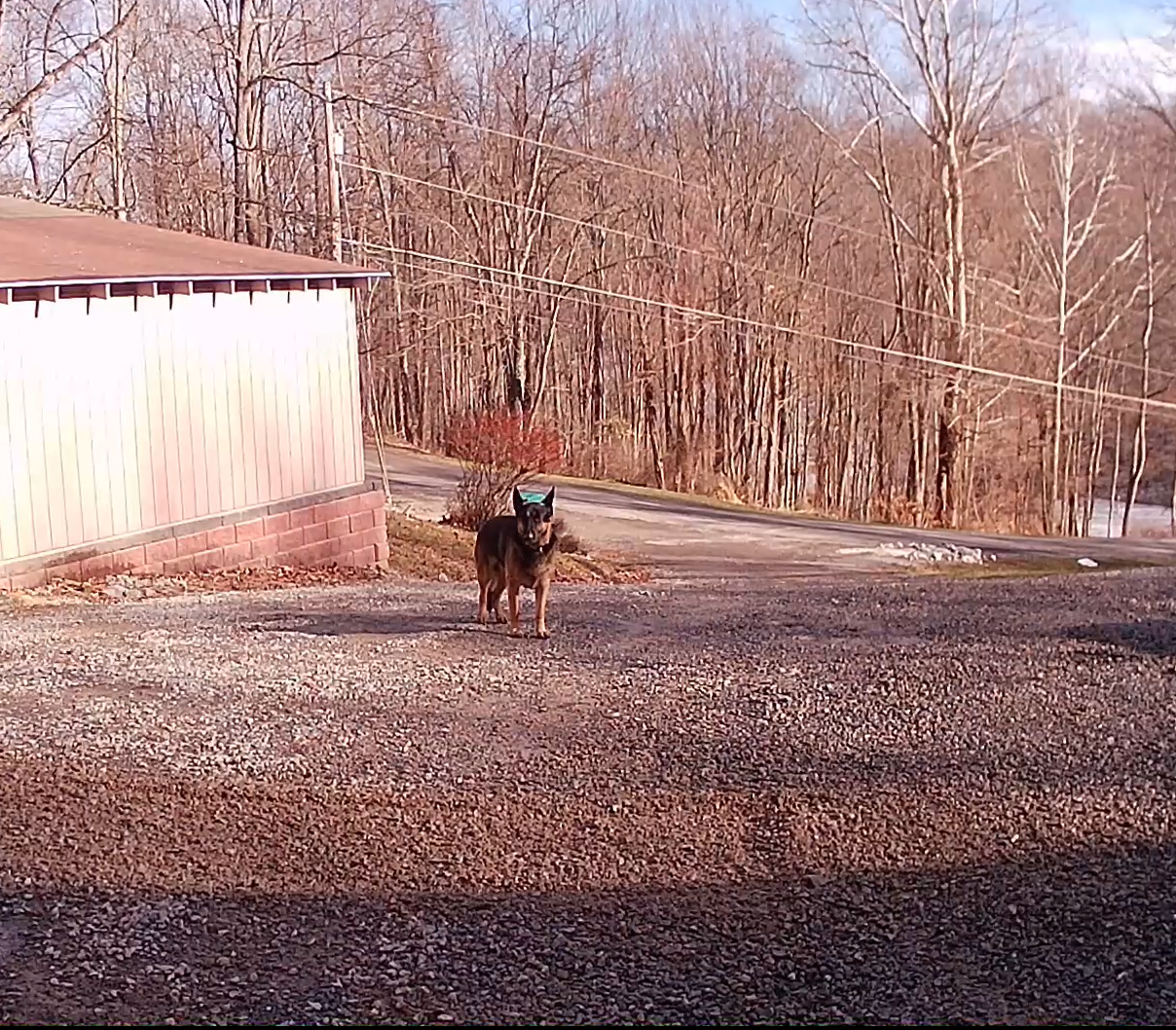 Harley Rake Before Top Driveway