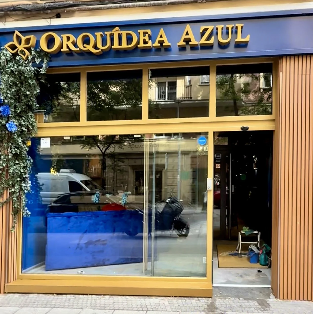 Fachada de una tienda con letrero que dice 'Orquídea Azul', con ventanas grandes, decoración floral en el lado izquierdo y entrada con puerta de vidrio.