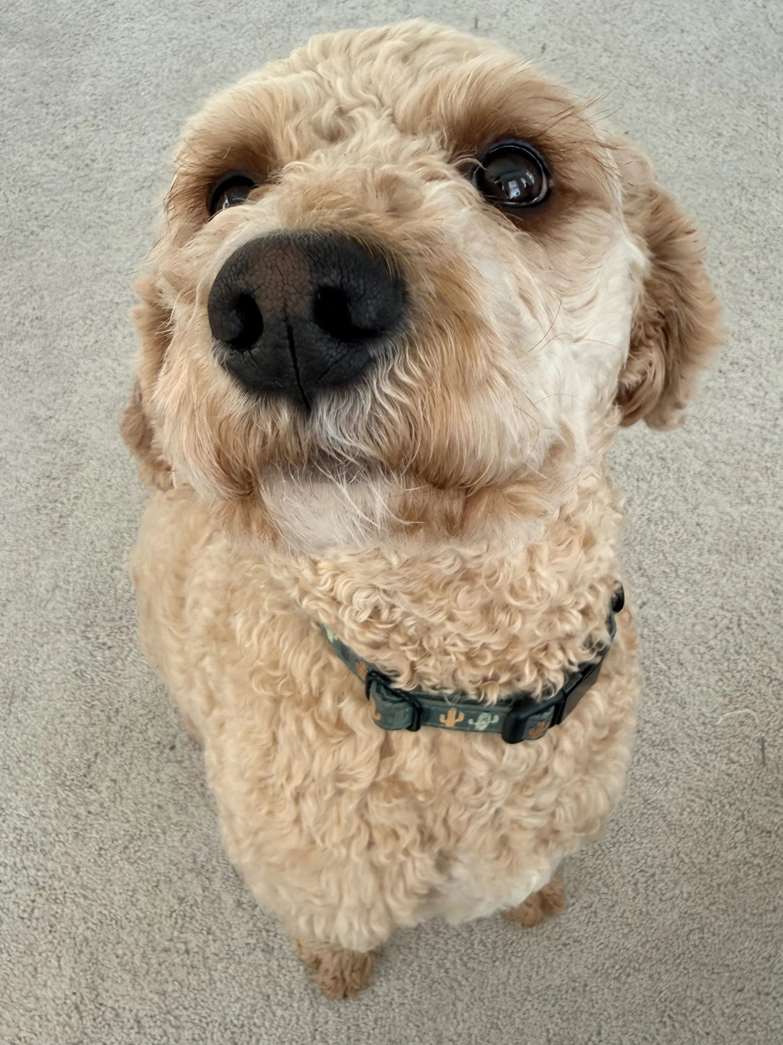 Finding Peace in the Fullness