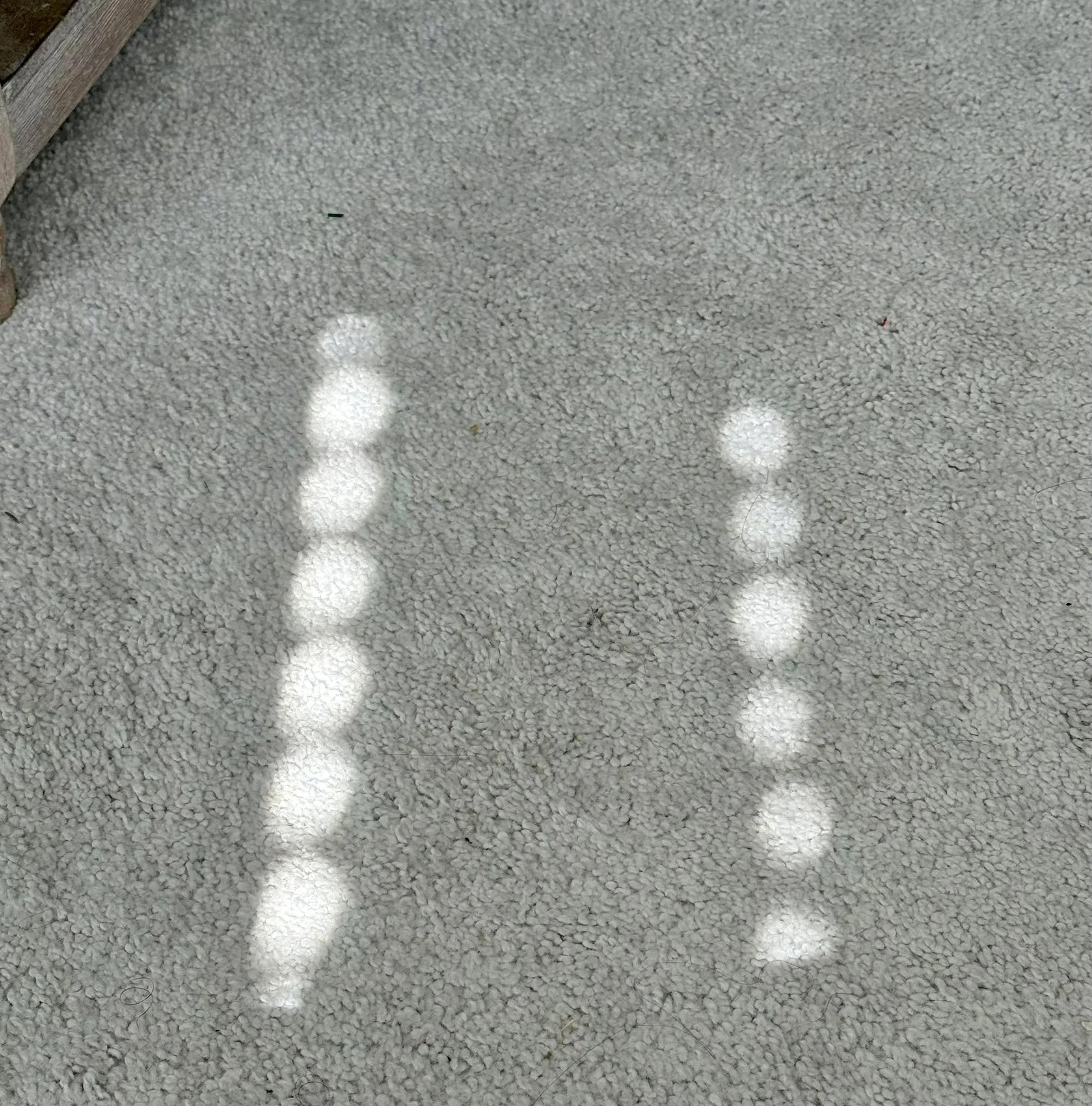 I&rsquo;ve been leaning into the quiet lately. 

Life has a way of requiring our full attention sometimes, doesn&rsquo;t it? 

So instead of a big update, I&rsquo;m sharing a small moment of light from my afternoon. The sun is shining and it made thi