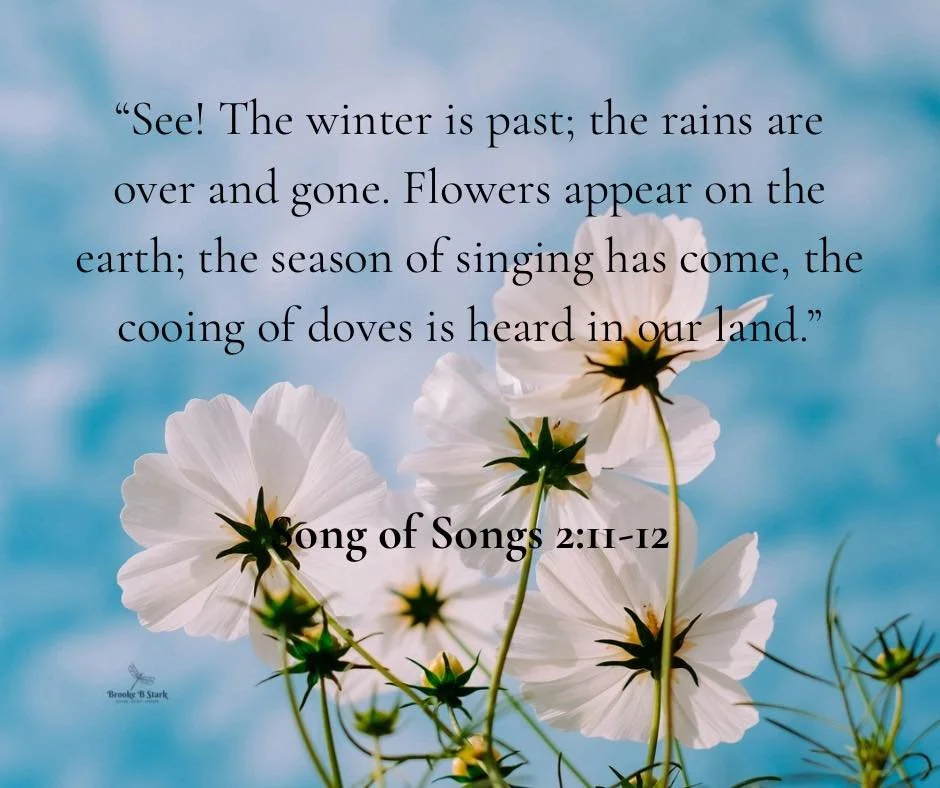 The same God who carried you through the winter will bring your spring, refreshed with new life in Him.