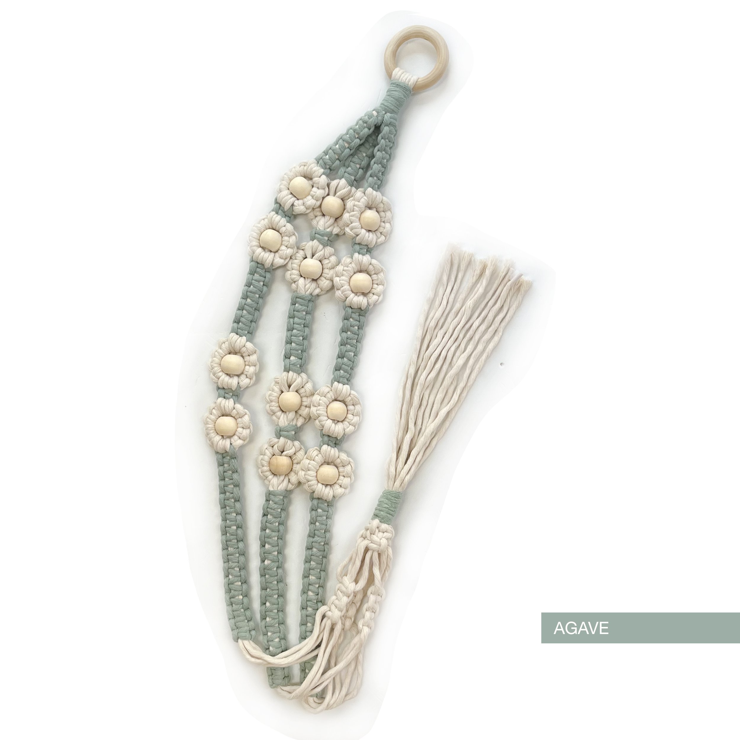 Agave-DaisyChain.jpg