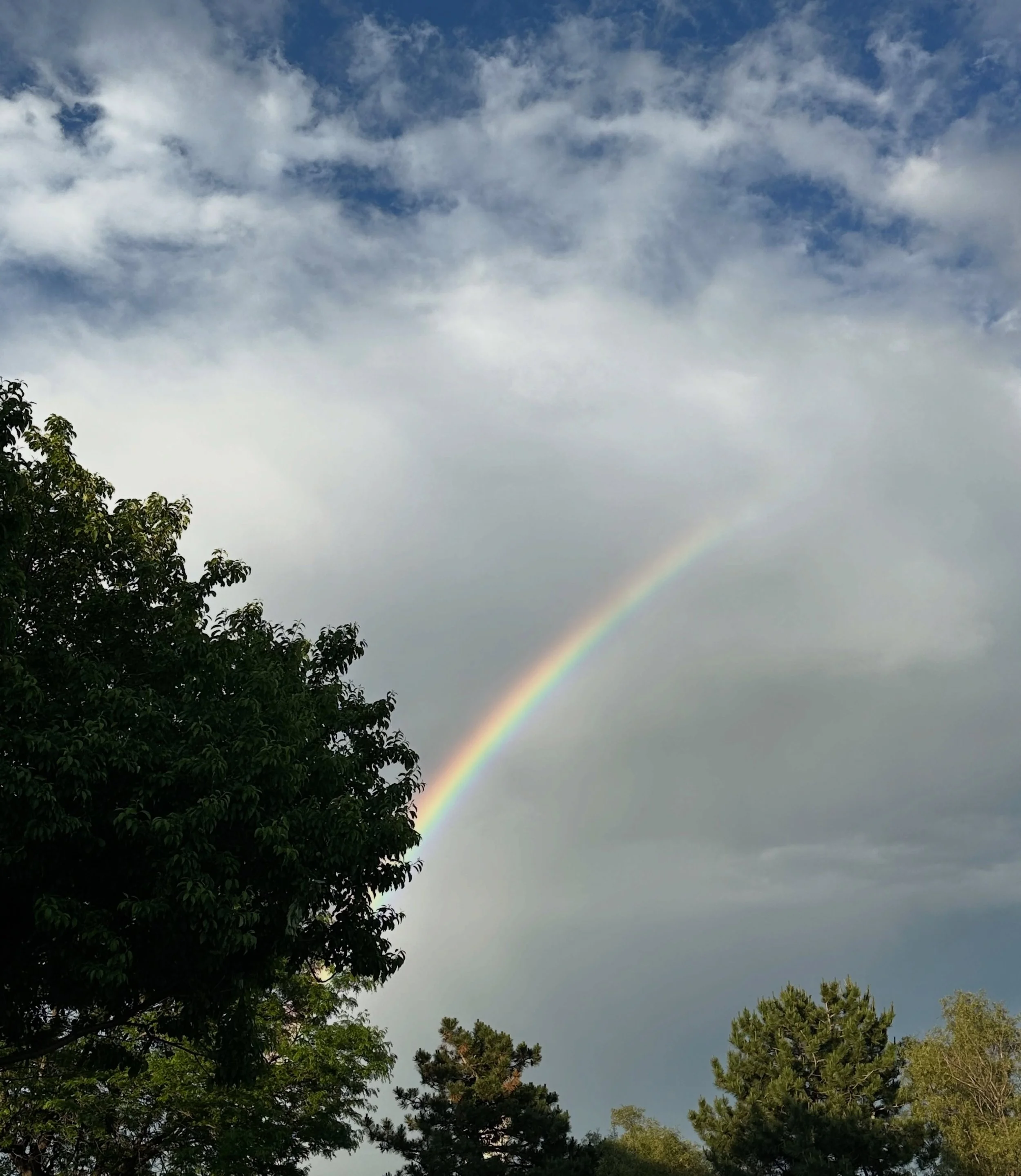 I asked Matt for a sign yesterday and then this showed up in the evening. 

I knew immediately this was him. It was comforting.

Hi, dear friend. We love and miss you. 💔🌈

#grief #signs #shineyourlight #pride