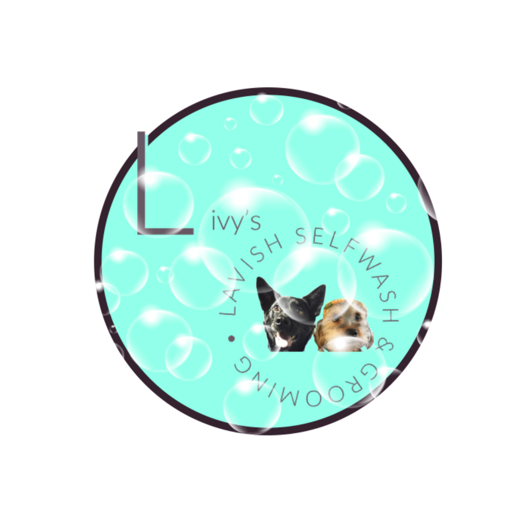 logo adjust homepage-2 (7).png