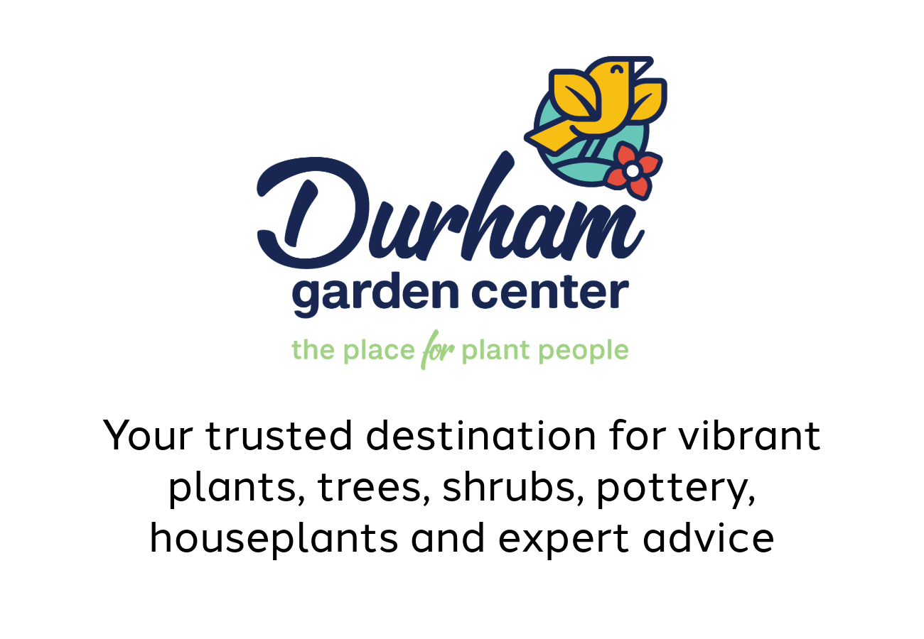 logo adjust homepage-22-dgc landscape.png