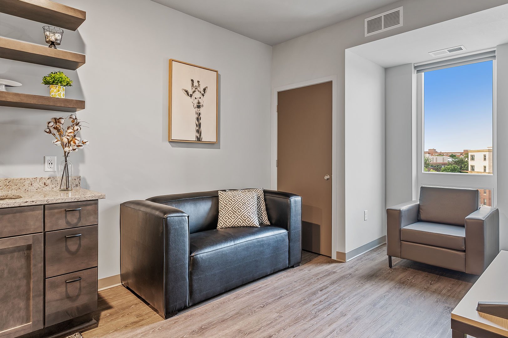 Living room with sofa, armchair, wooden flooring, window overlooking Dinkytown.