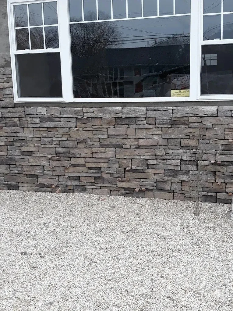 A small, leafless tree growing in front of a stone veneer wall beneath a large window with multiple panes.