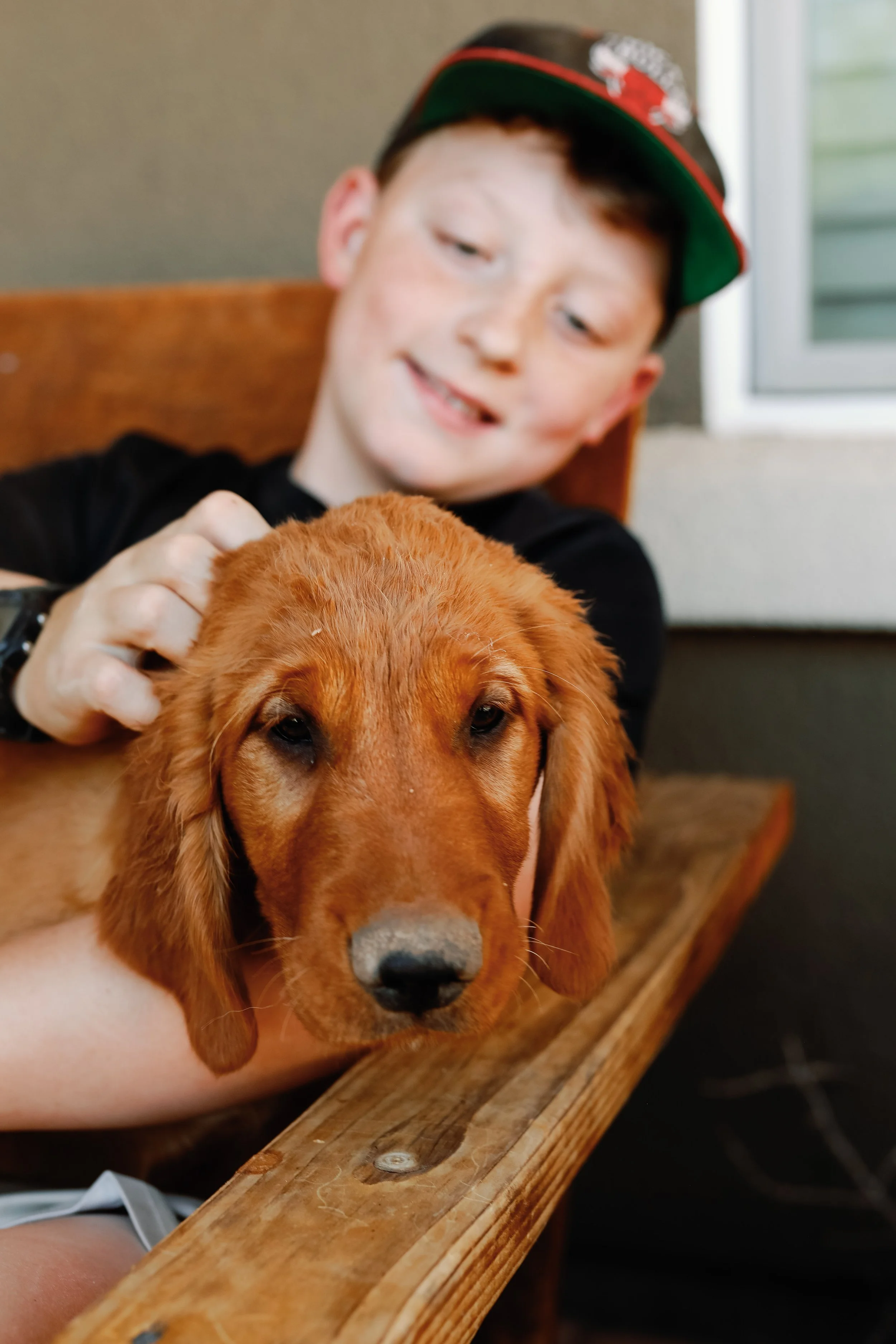 Brown | This little man loves his people. Brown in one of our larger males and holds his own sweetness while still being bold. He loves to be where the people are and does best when he is with someone or another pup. He is happy all the time but if s