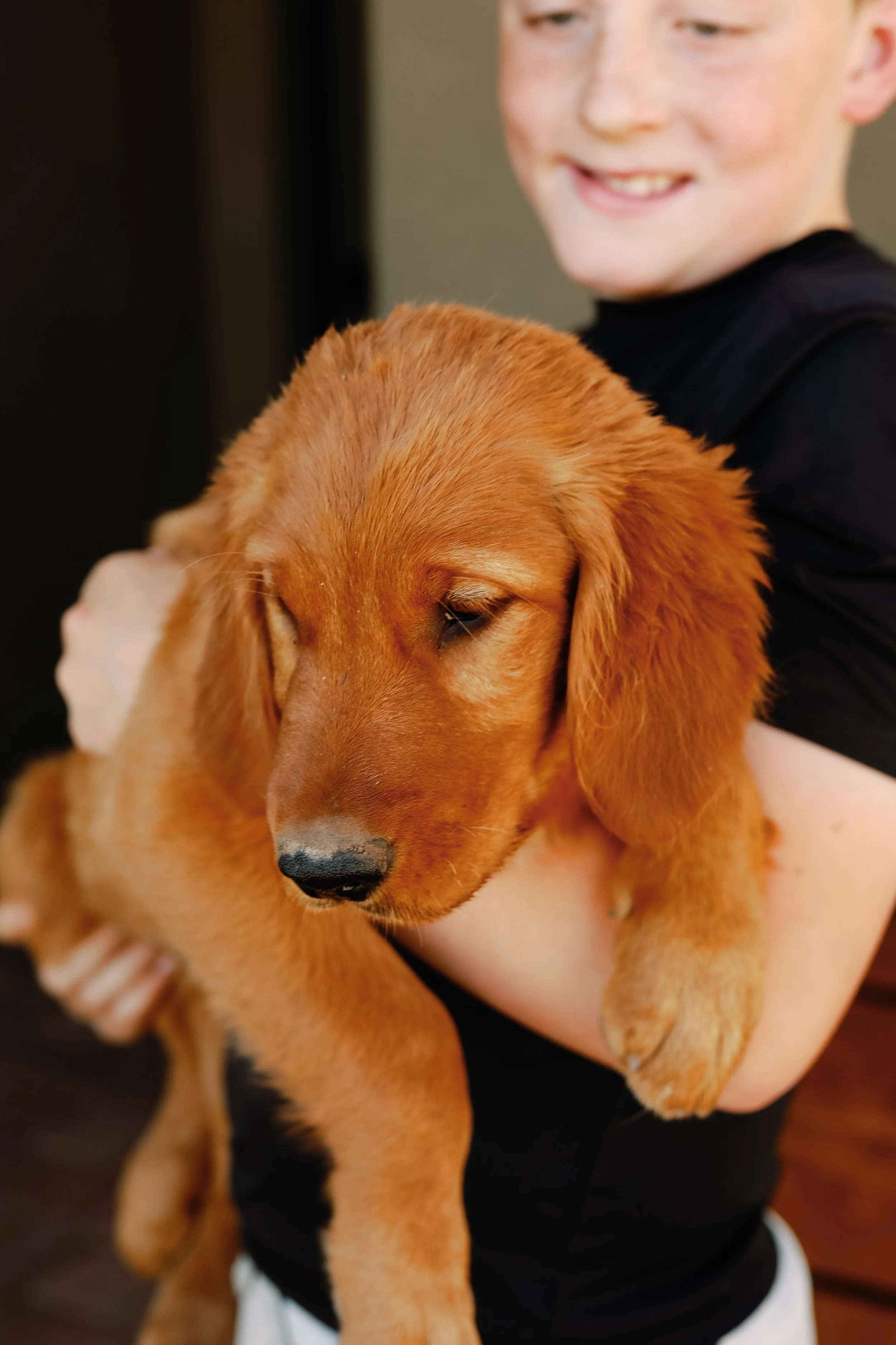**SOLD** Purple | The Mature One. This sweet sister can hold her own in the most fun of ways. She likes to check in but can also be independent and likes to explore. She can hold her own with the big boys but is ready to curl up on your lap for a nap