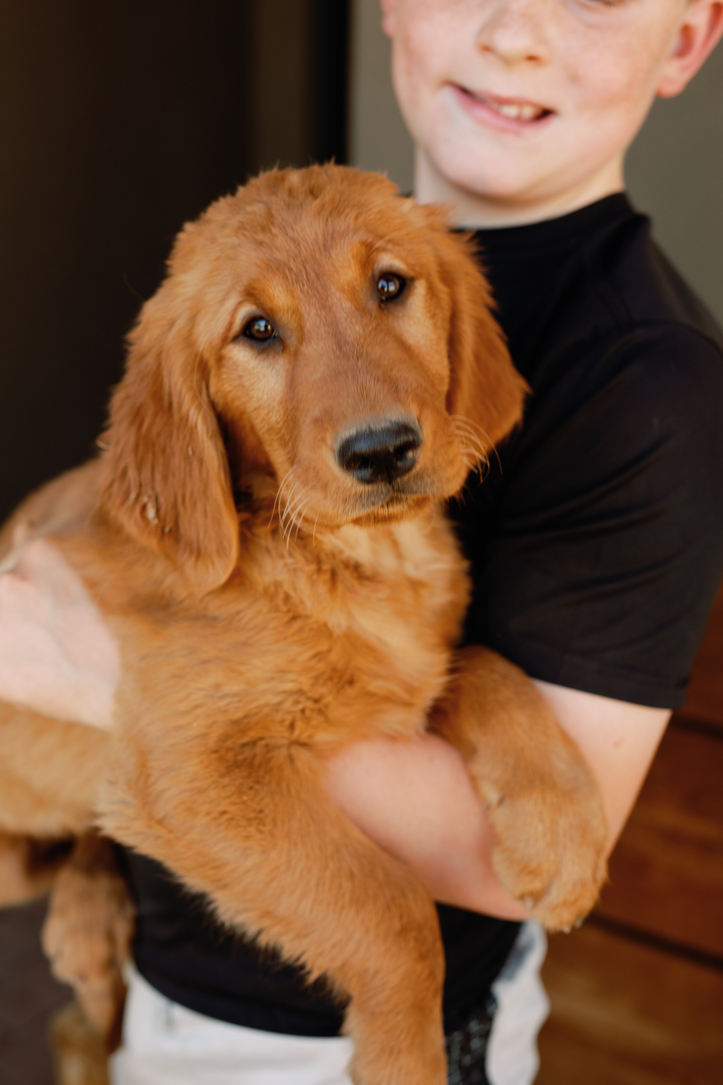 **SOLD** Pink | Our Oldest Girl and Litter Oldest. Pink is playful, loves to come check in, and is one of our darkest females. She is a playful cuddler and loves to be in all the fun! She is the first to greet you in the morning and will come an find