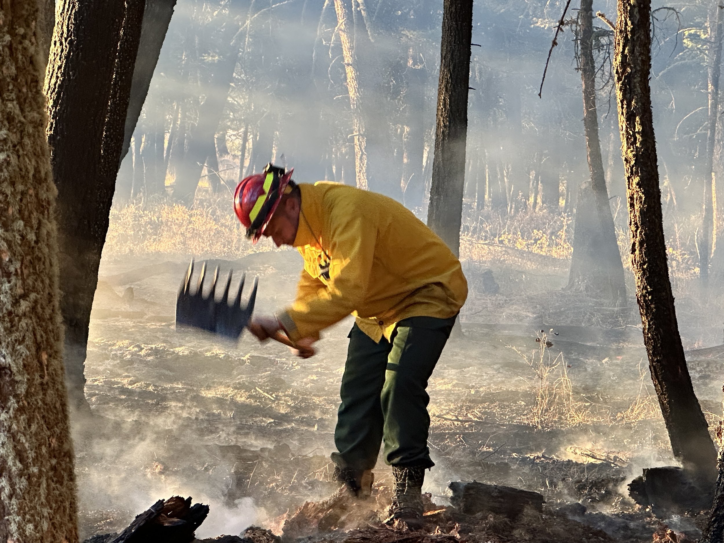 A firefighter wearing a yellow jacket and red helmet fighting a forest fire with a tool, surrounded by smoke and tall trees in the background.
