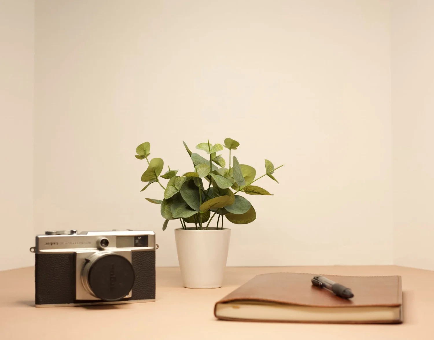 Vintage camera, notebook and plant on a wooden desk in the Halstead Creative Co. studio