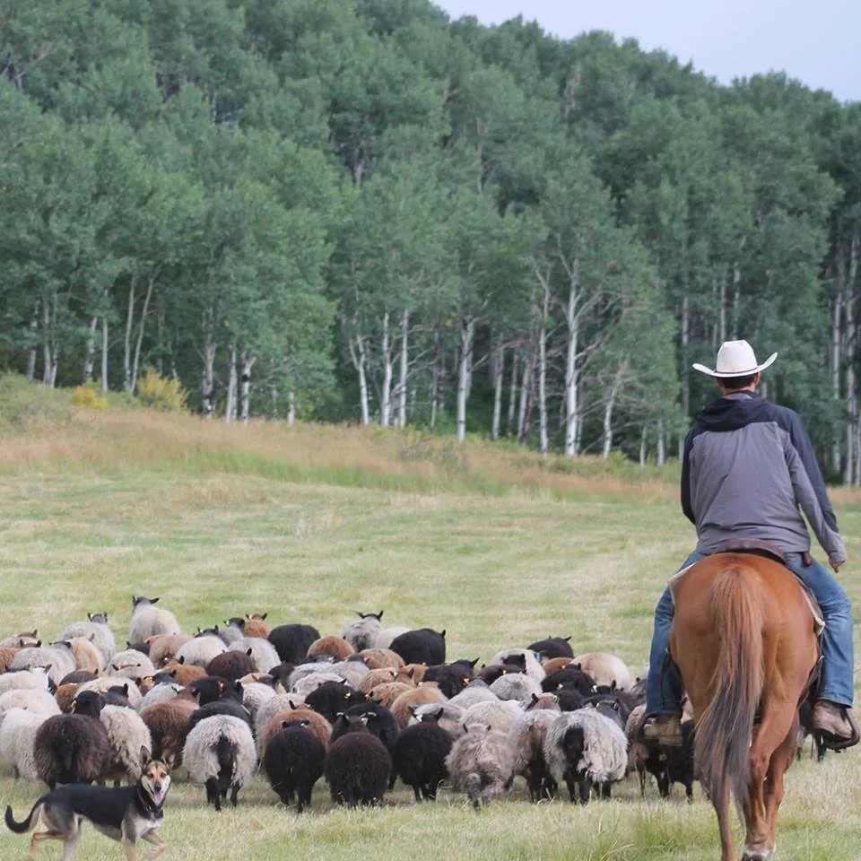 Speaker Photo for Society For Range Management.jpg