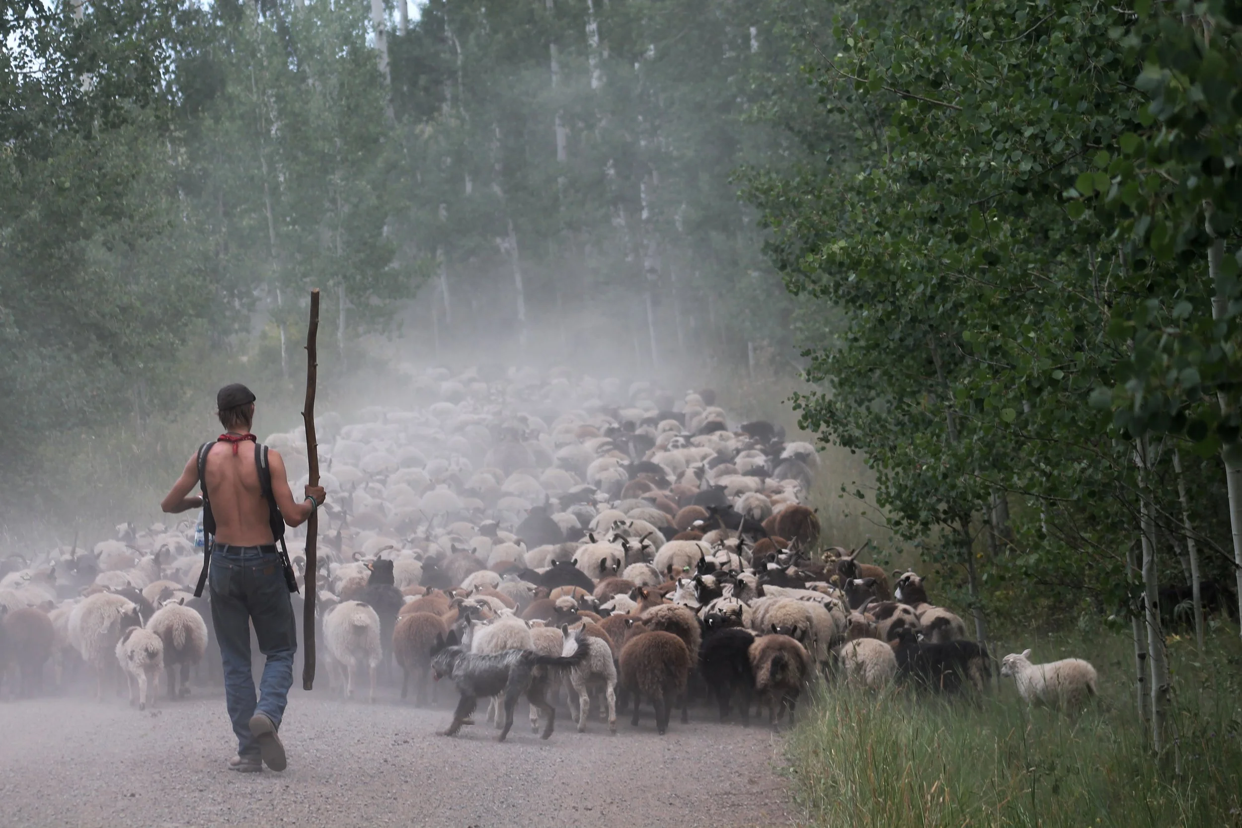 2017 August (2) 006.jpg