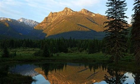 Moose Pond