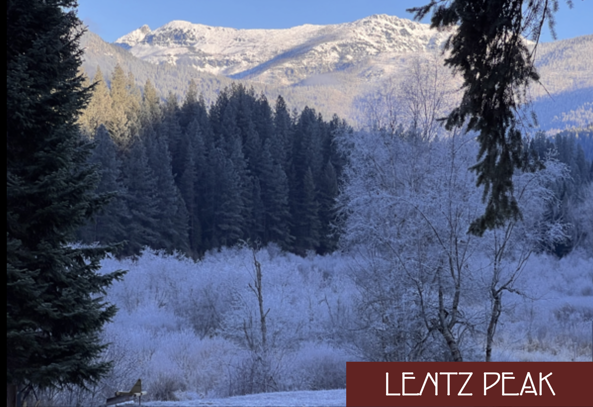 Snow-covered mountain landscape with frosty trees and a dense forest under a clear blue sky, labeled "Leatz Peak."
